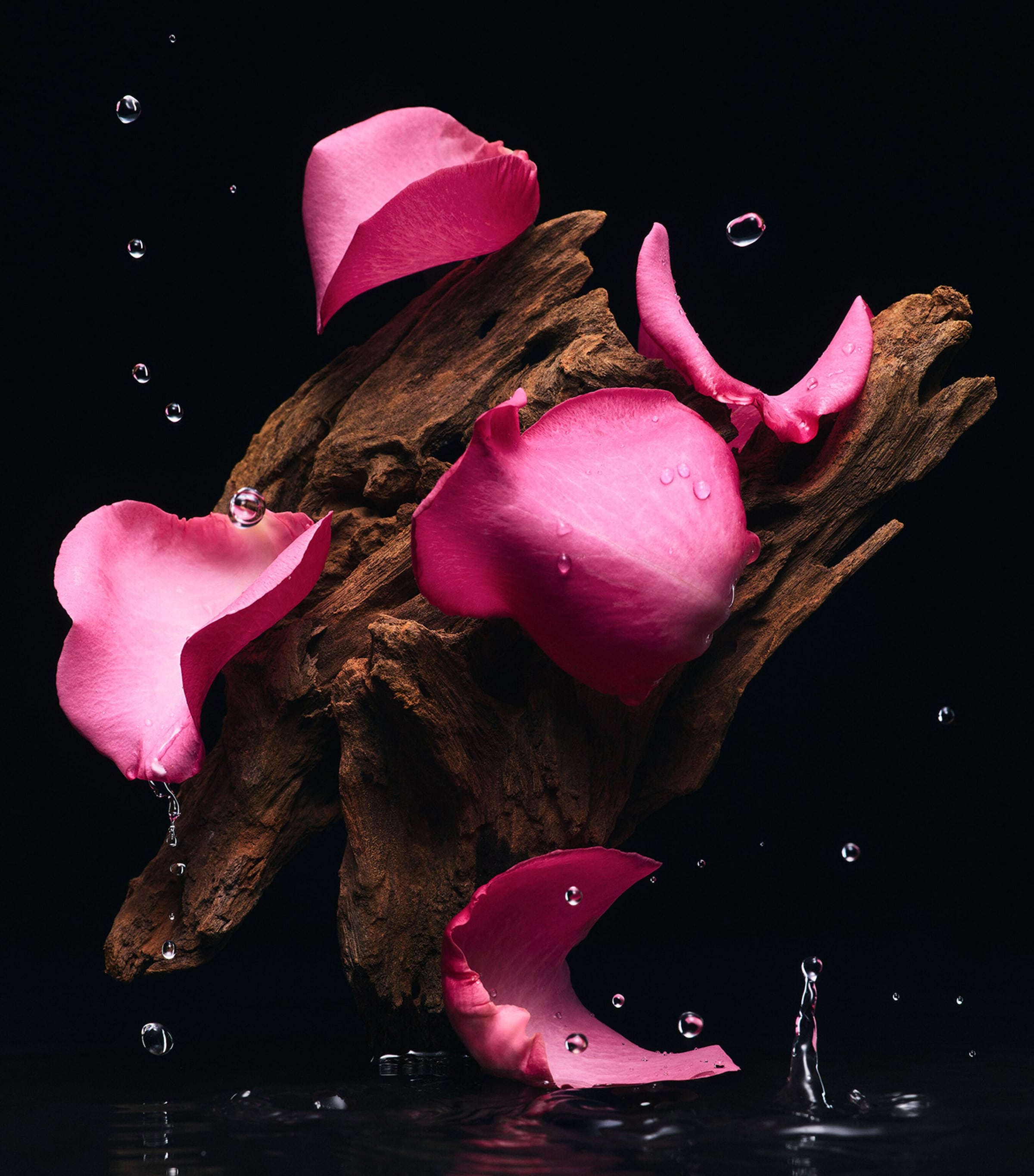 Velvet Tender Oud Eau de Parfum (100ml) NO COLOUR Image 4