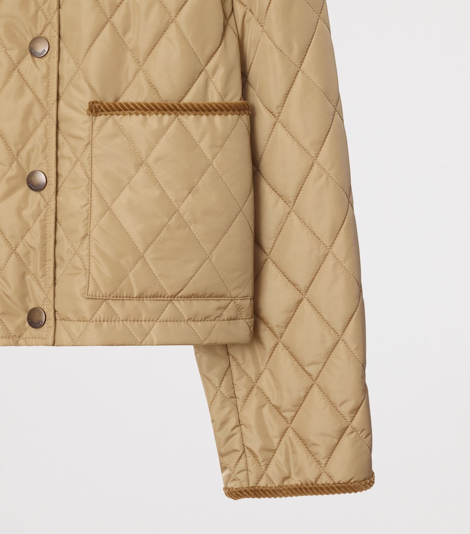 Quilted Field Jacket FLAX/SAND IP CHECK Image 5