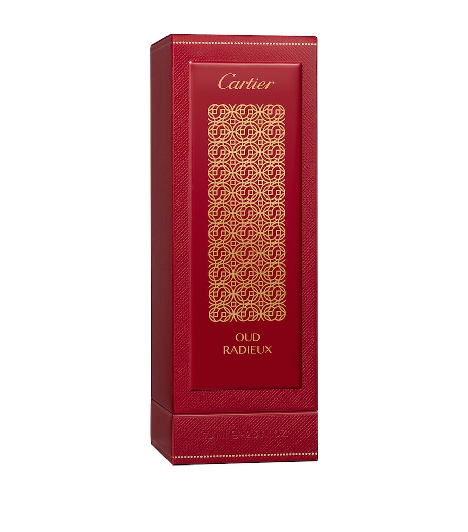 Les Heures Voyageuses Oud Radieux Eau de Parfum (75ml) NO COLOUR Image 2