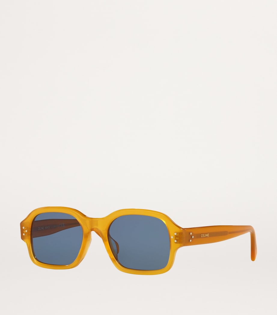 Celine Acetate 0CL000410 Sunglasses Image 2