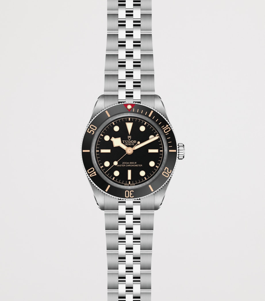 TUDOR Black Bay 58 GMT Stainless Steel Watch 39mm Black Image 2