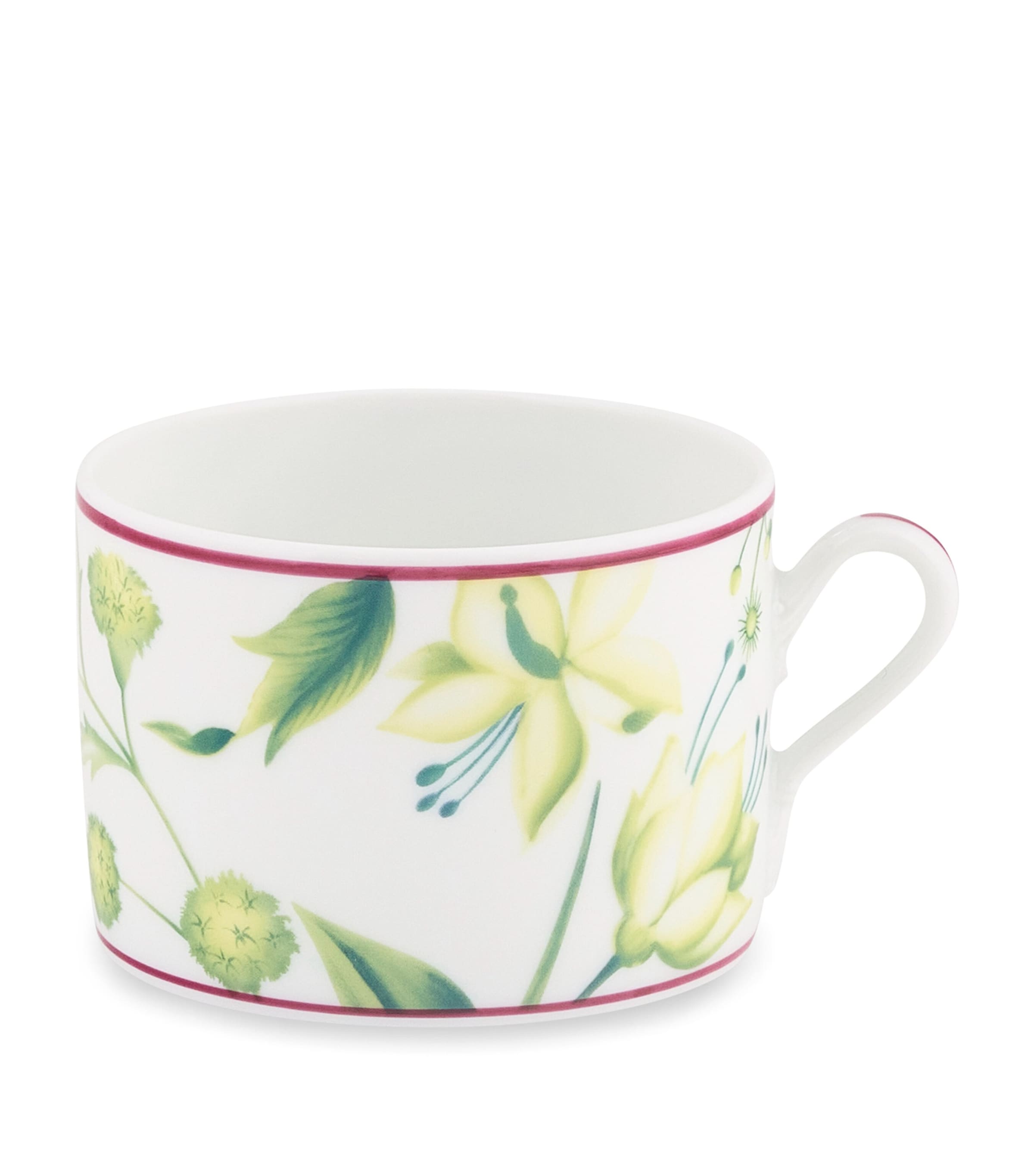 GINORI 1735 Florenza Teacup Image 1