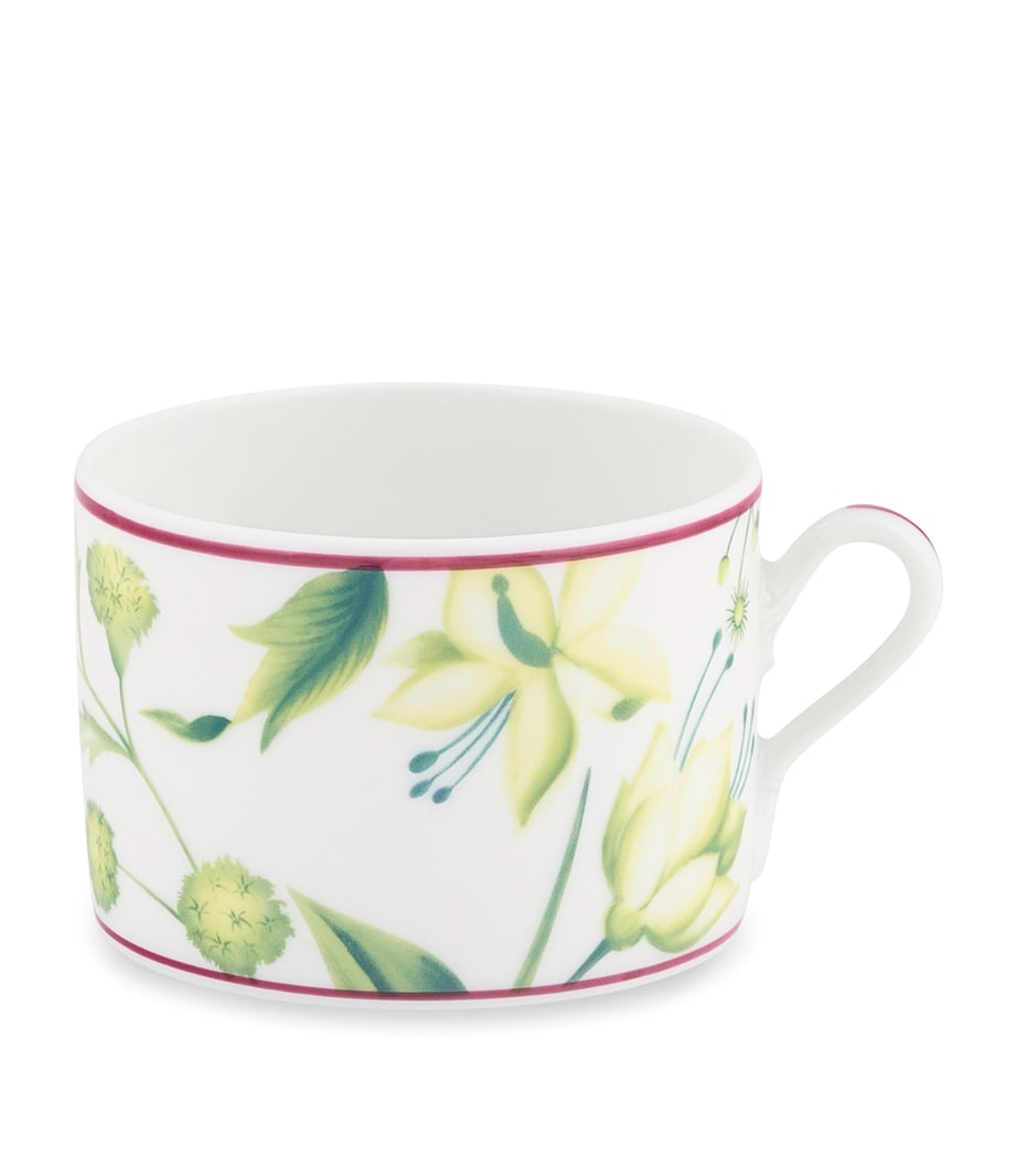 GINORI 1735 Florenza Teacup Image 1