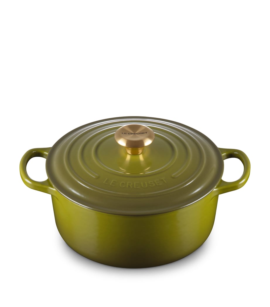 Enamelled Cast Iron Round Casserole Dish (24cm) OLIVE Image 1