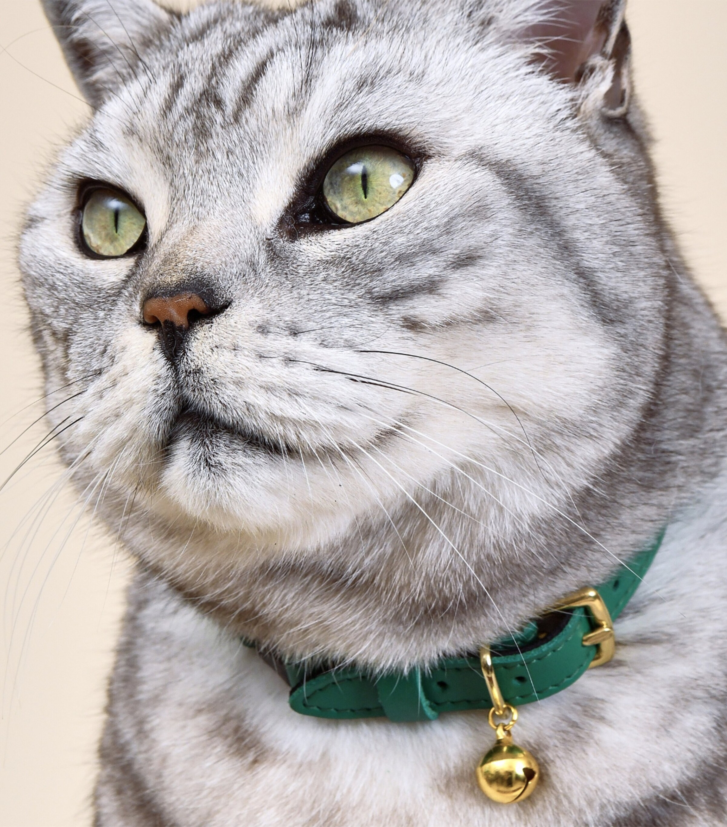 Cheshire Wain Green Small Leather Wonderland Cat Collar Harrods HK