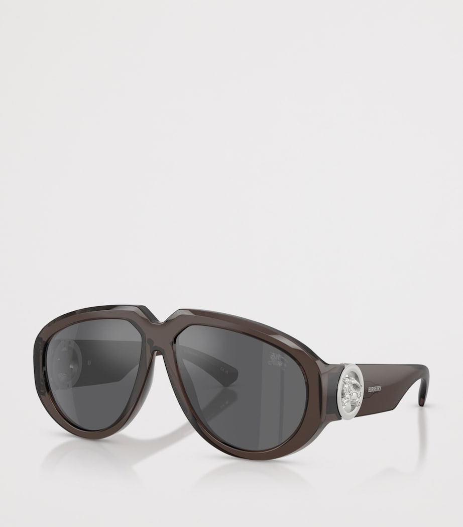 Pilot Sunglasses 41126G Image 2