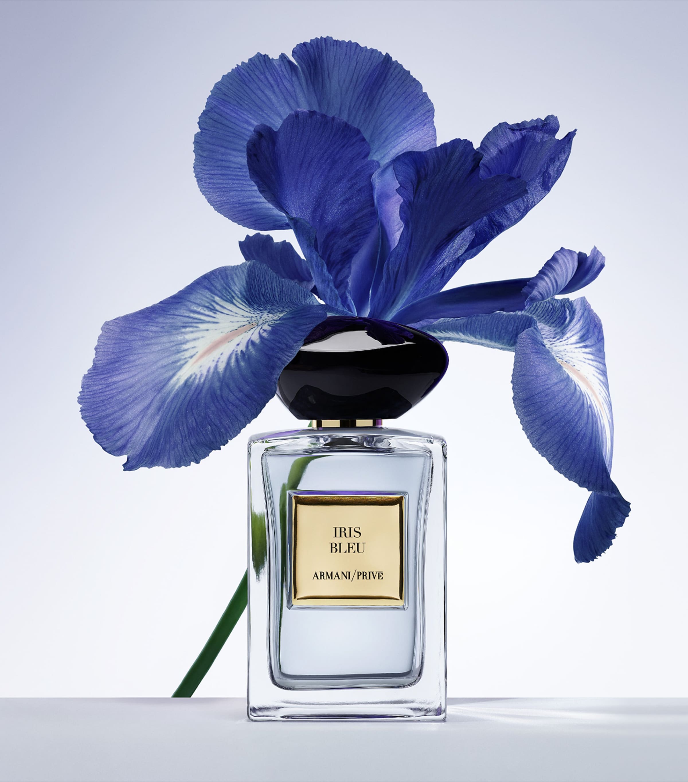 Armani Privé Iris Bleu Eau de Toilette (50ml) | Perfume | Womens Perfume | Designers | Armani Armani Privé Iris Bleu Eau de Toilette (50ml) | Perfume | Womens Perfume | Designers | Armani