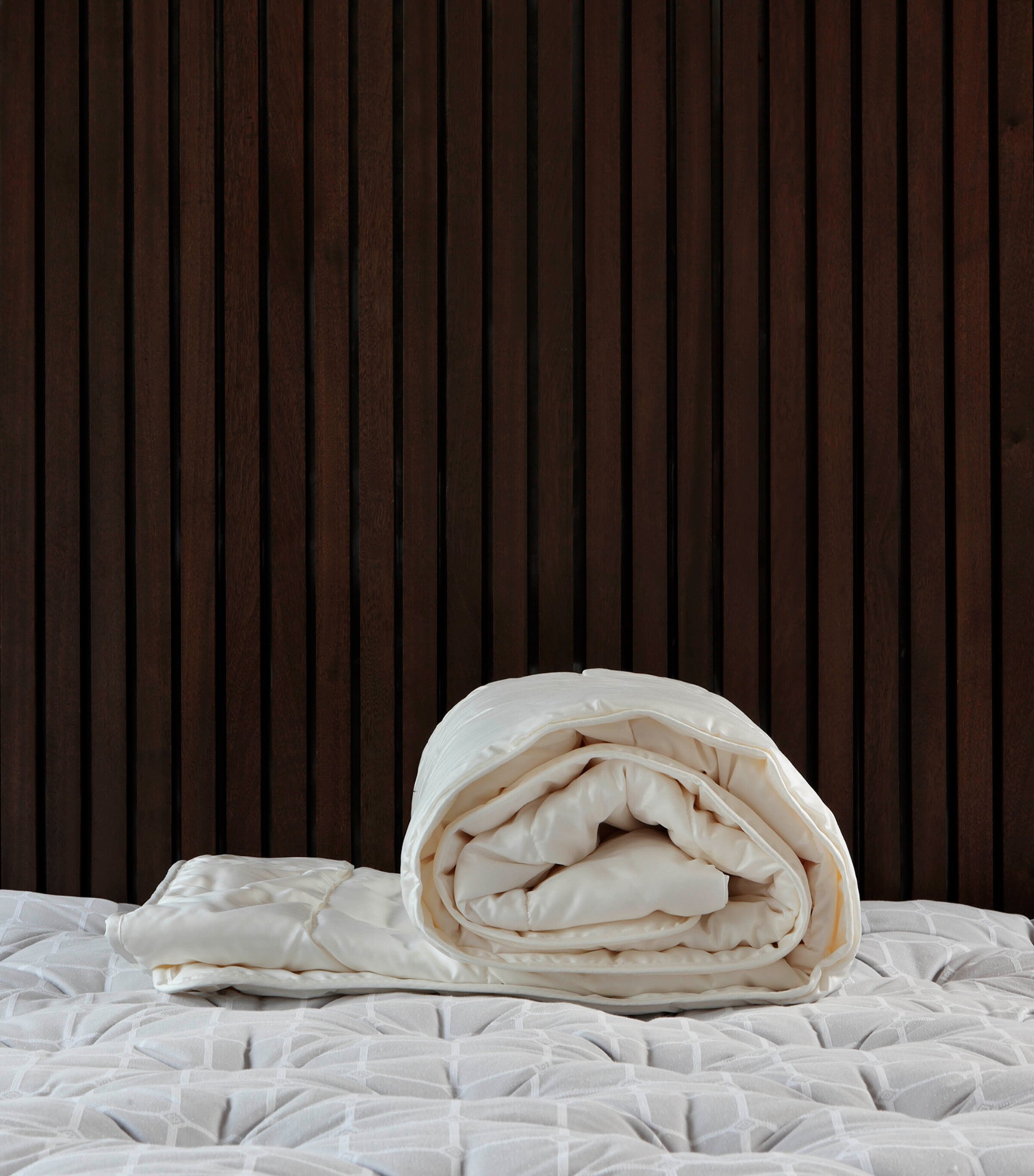 King Silk Duvet (4.5 Tog) CHAMPAGNE Image 3