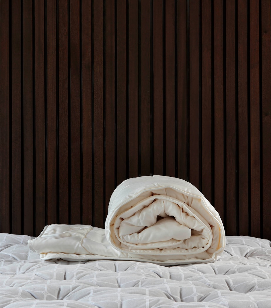 King Silk Duvet (4.5 Tog) CHAMPAGNE Image 3