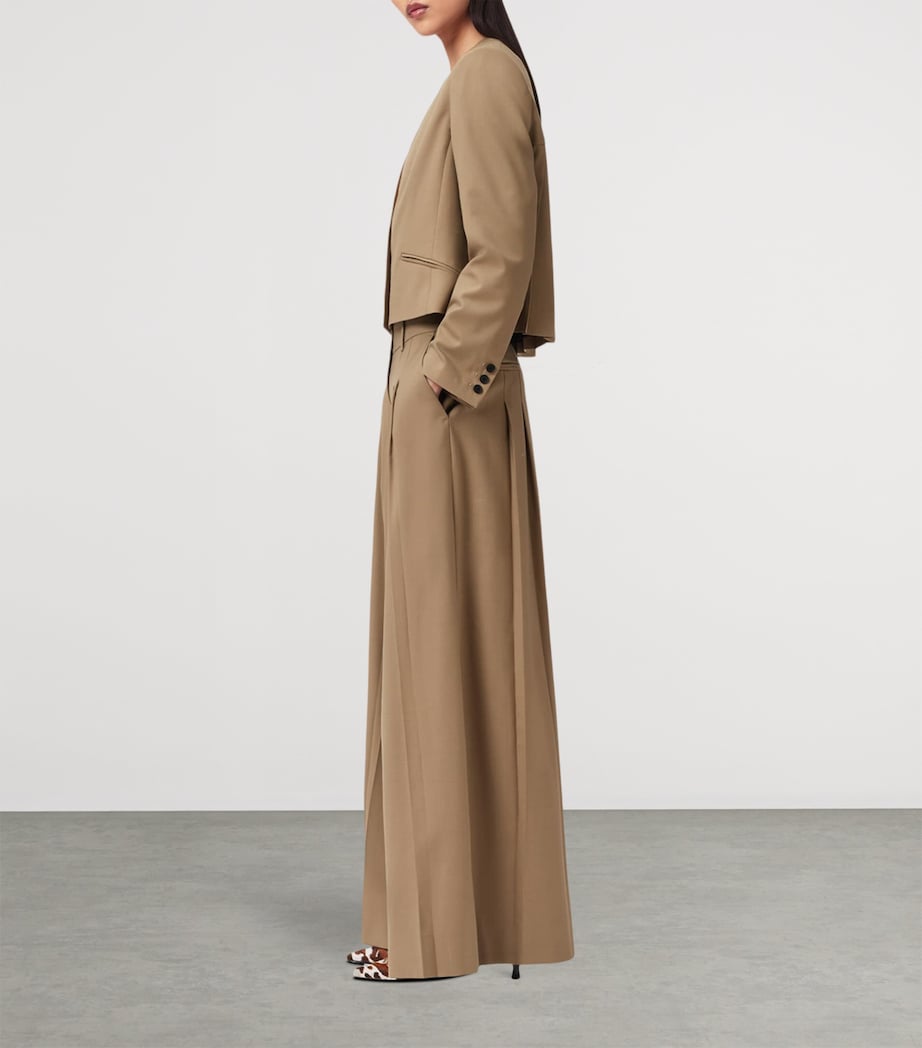 AllSaints Womens Wool-Blend Wide-Leg Poppy Trousers Sand Brown Image 3