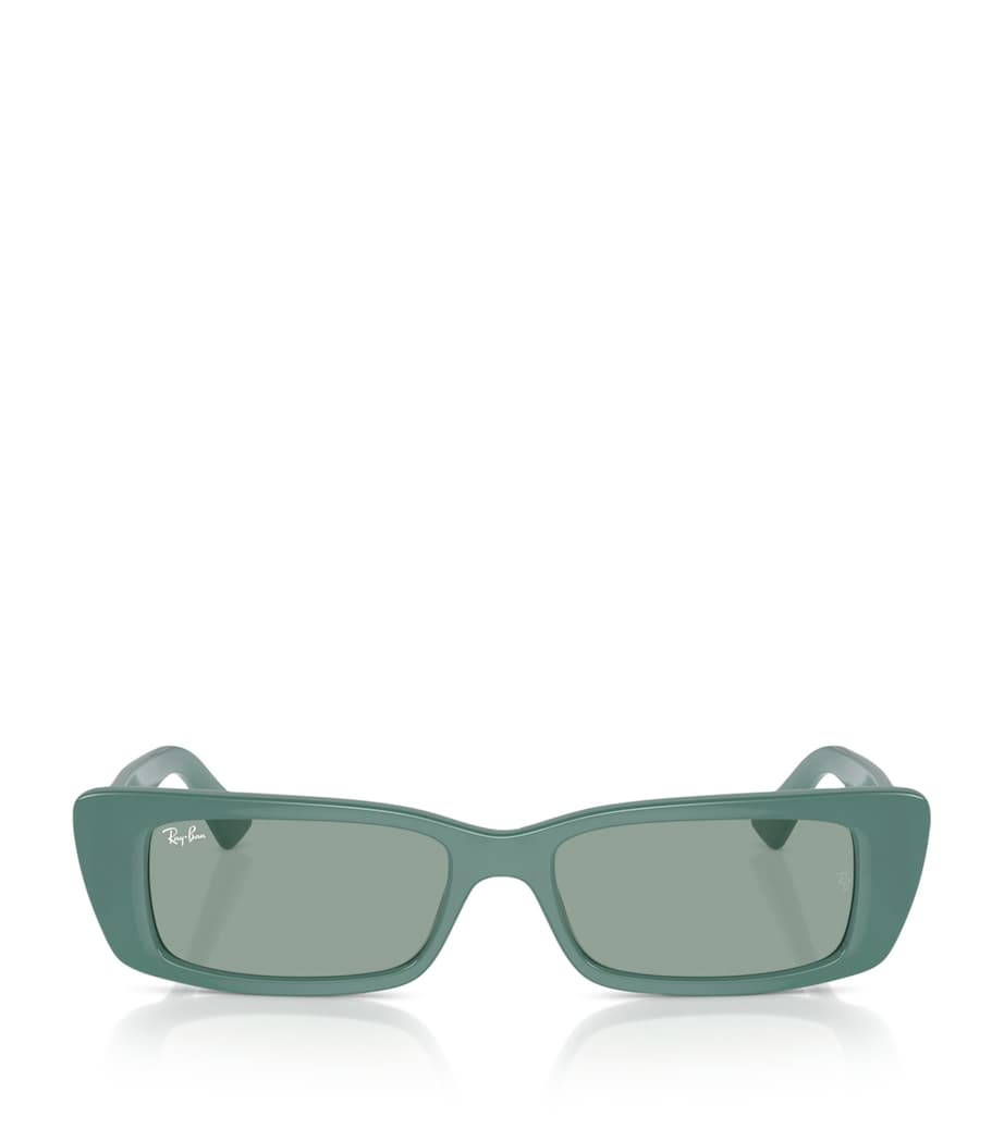 Bio-Based RB4425 Teru Sunglasses 676282 Image 1