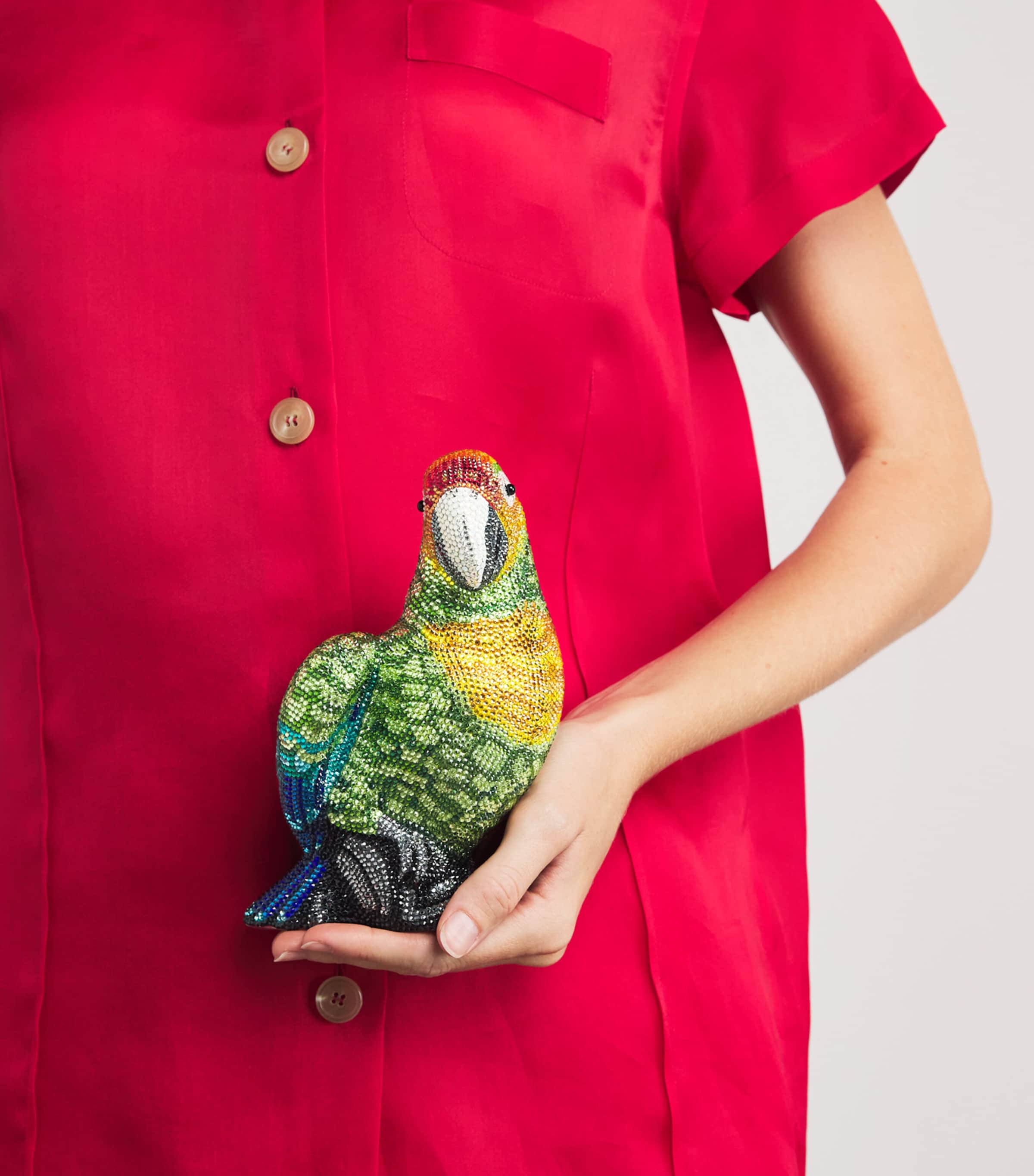 Crystal Parrot Paolo Clutch Bag SPDMT PERIDOT MULTI Image 5