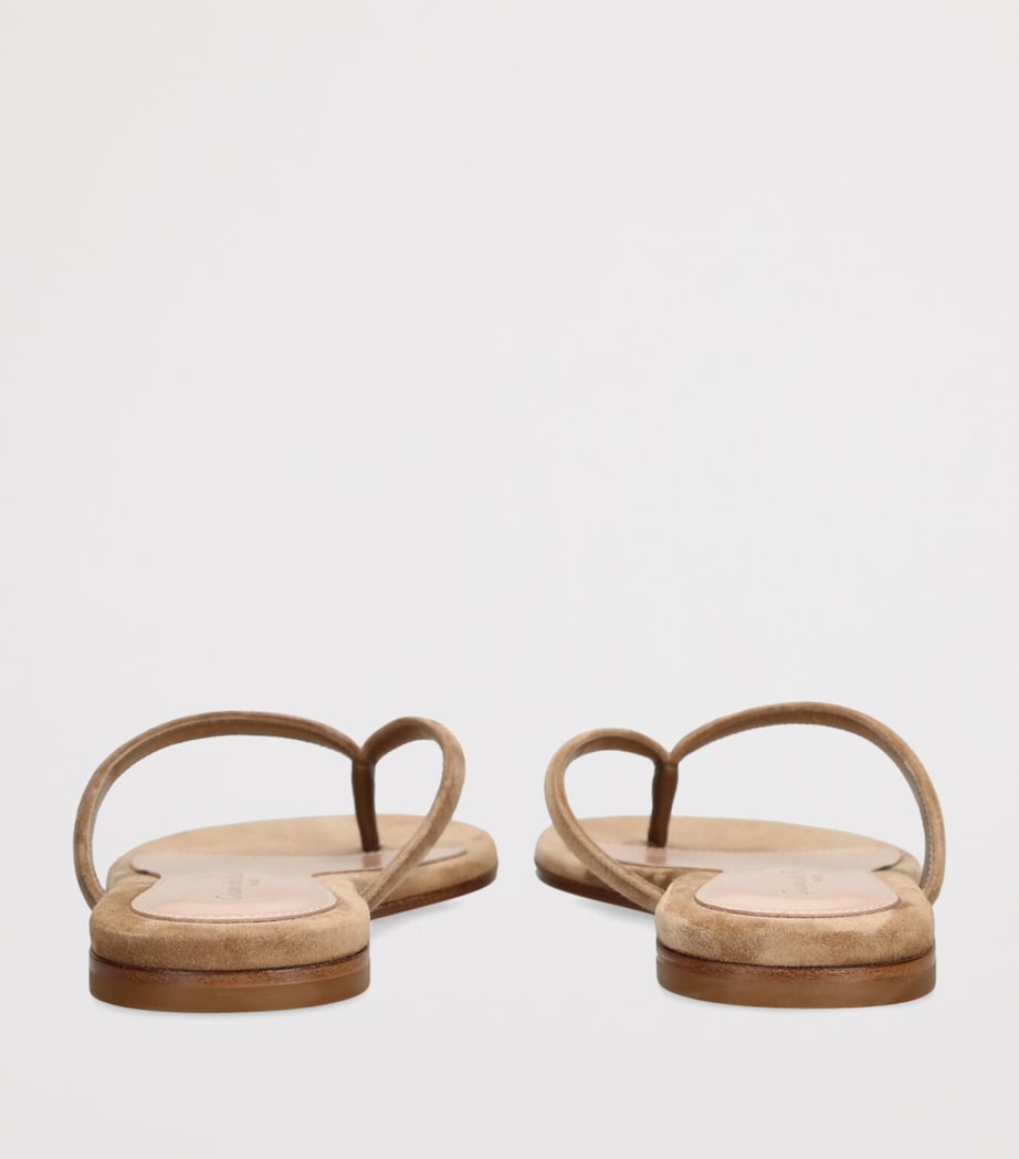 Suede Calypso Sandals CAMEL Image 2