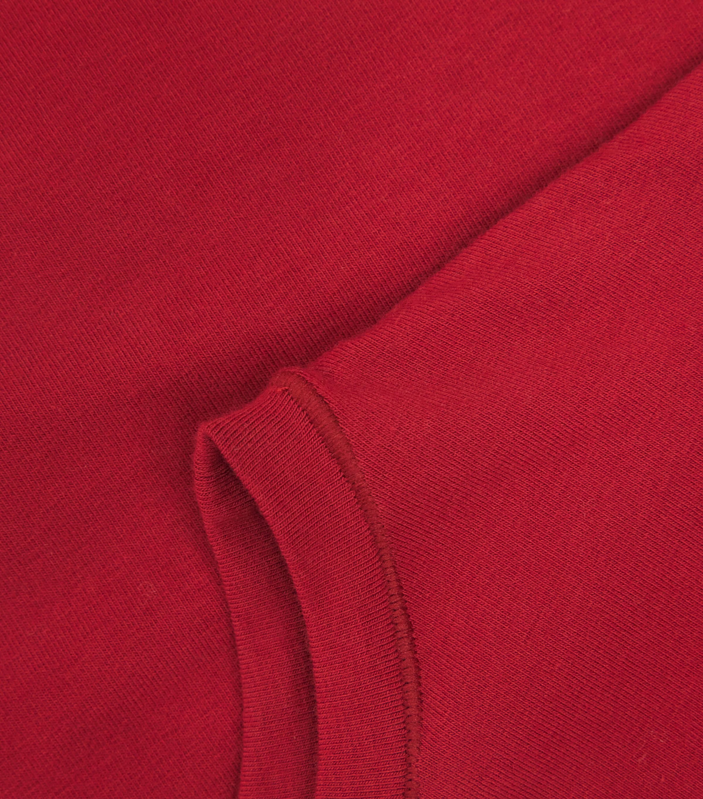 Cotton Jersey T-Shirt BRICK Image 5