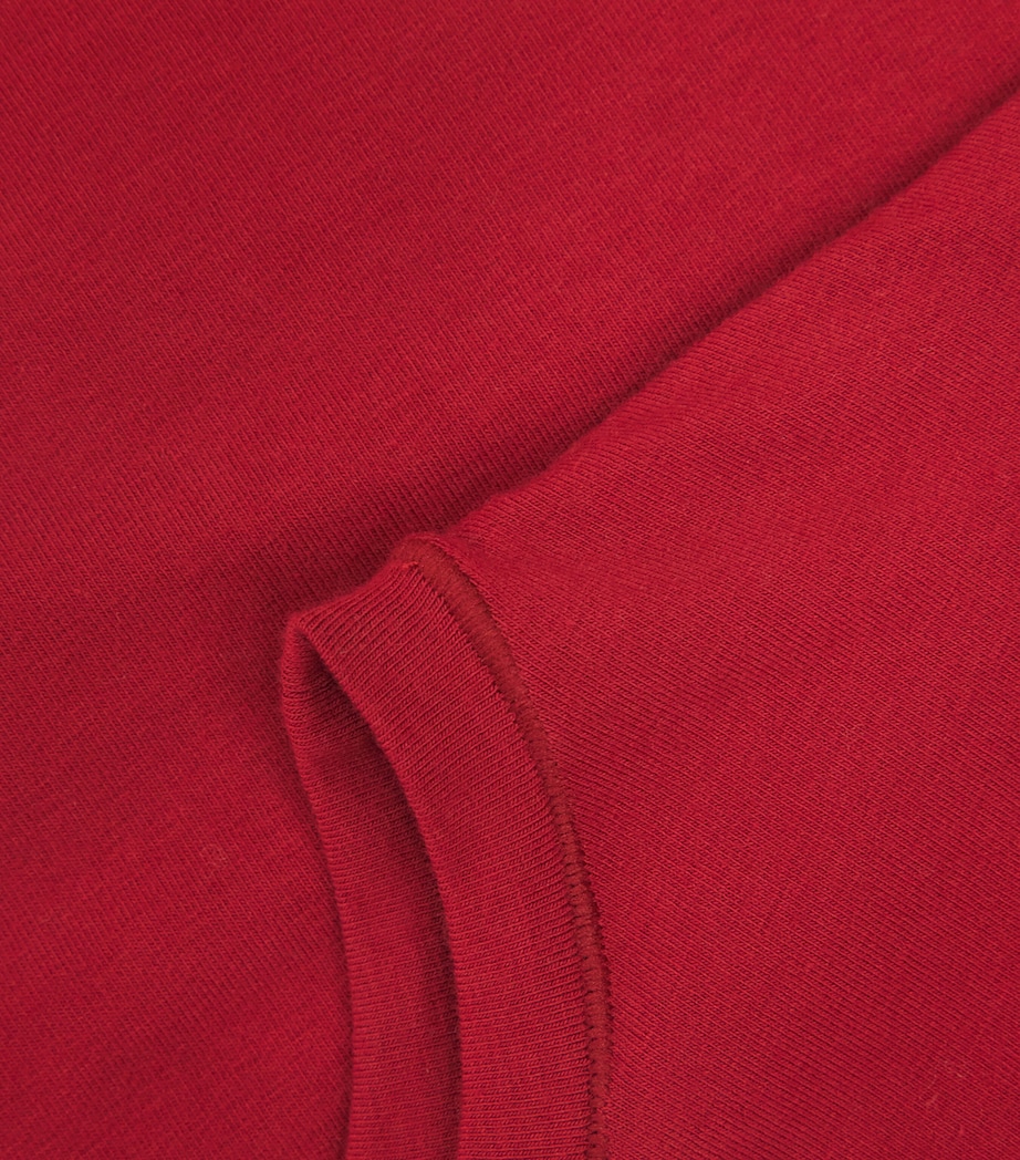 Cotton Jersey T-Shirt BRICK Image 5