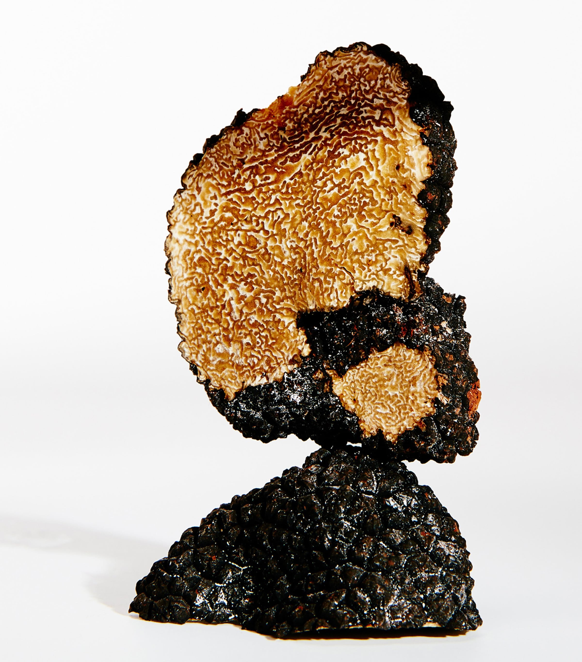 Earth Eau de Parfum (50ml) NO COLOUR Image 3