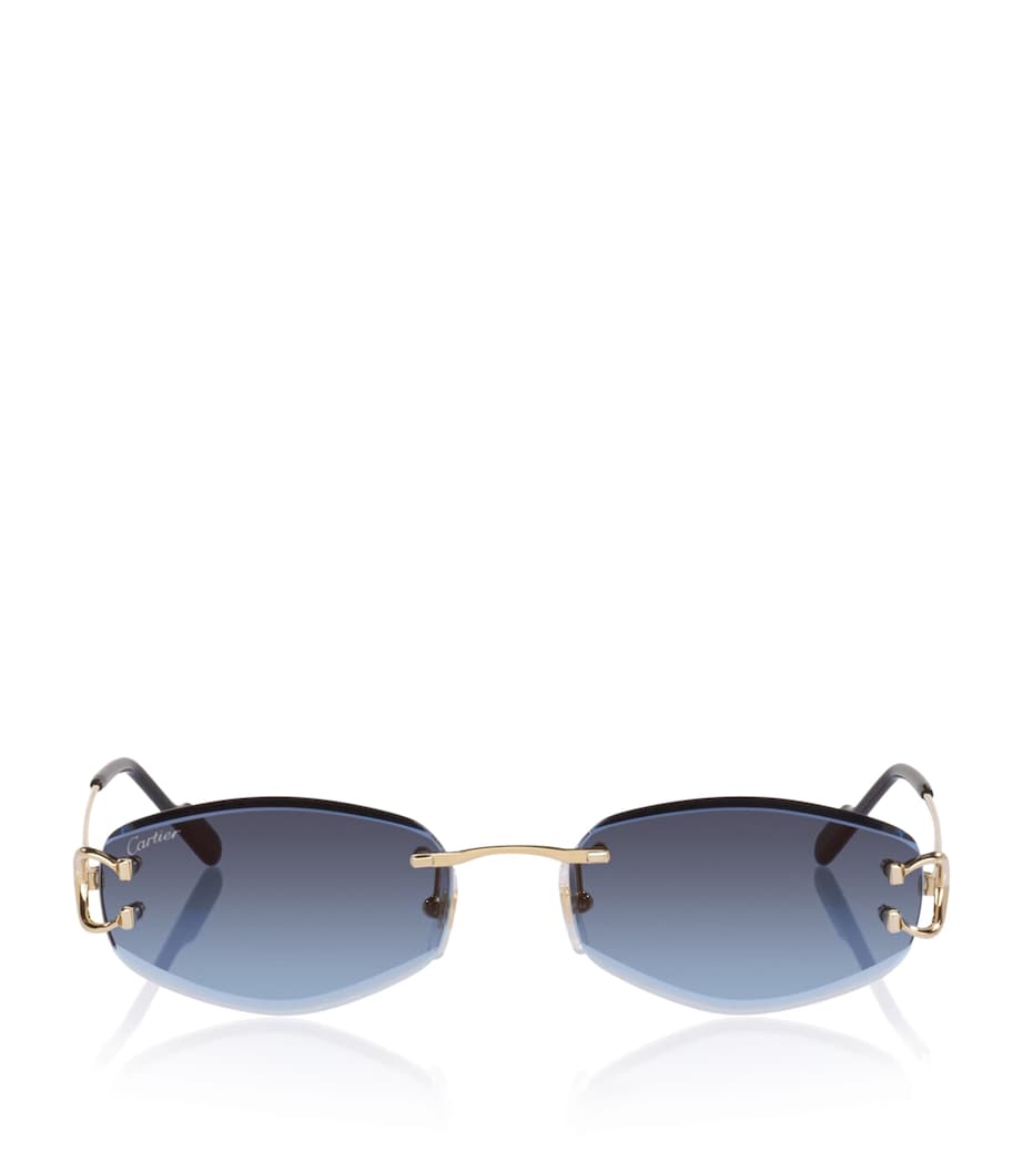 Cartier CT0467S Irregular Sunglasses Image 1