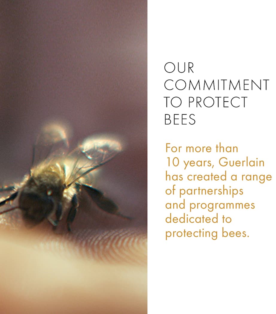 Abeille Royale Repairing & Youth Hand Balm (40ml) NO COLOUR Image 3