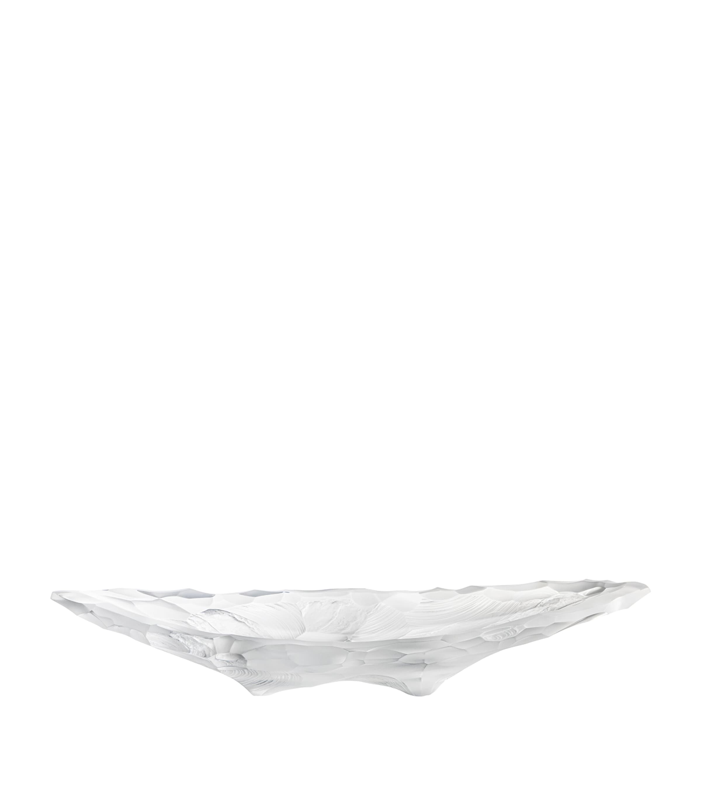 Large Crystal Silex Bowl (65cm) INCOLORE Image 2