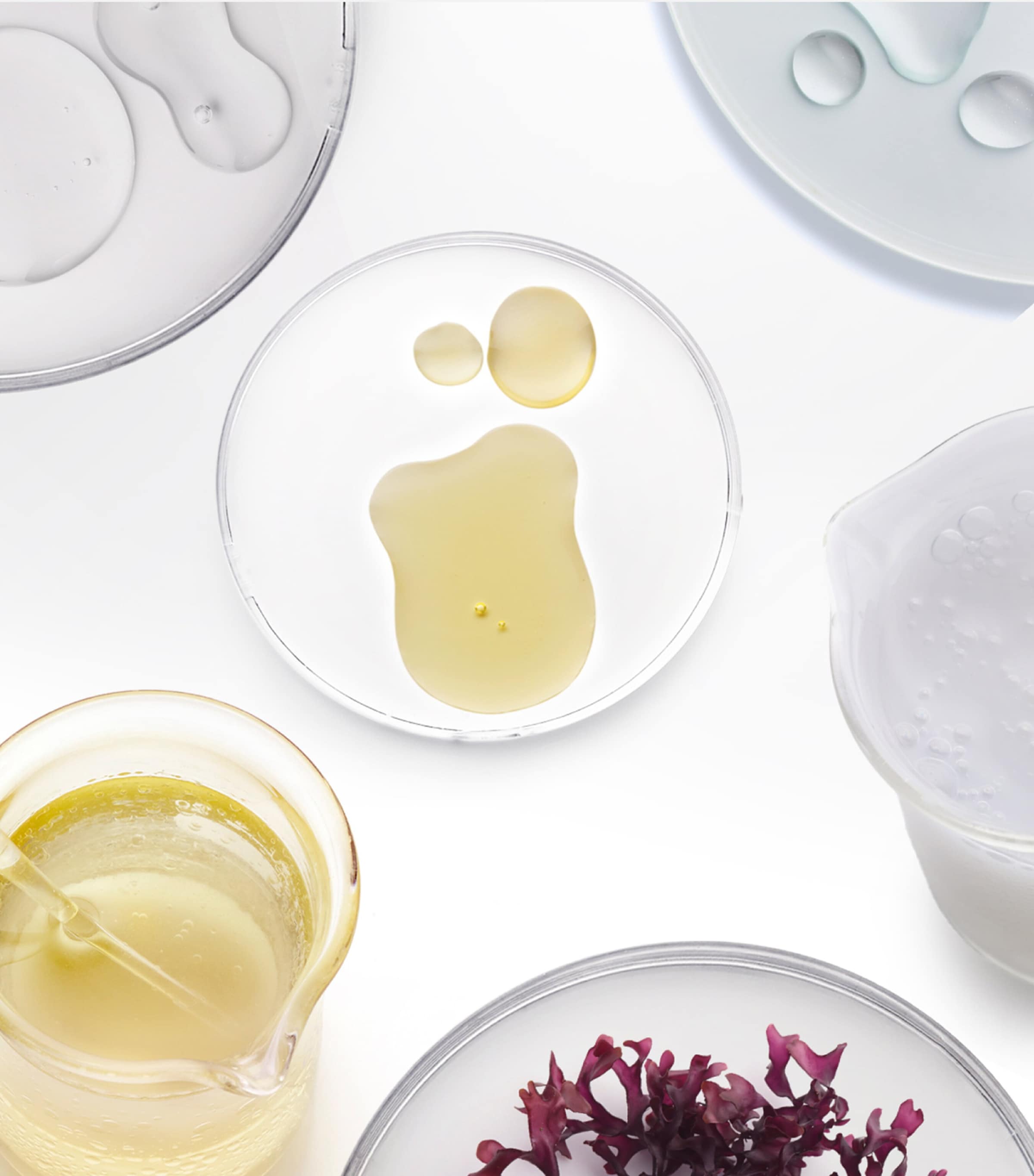 The Absolute Rejuvenation Night Balm Refill (30 x 0.8ml) NO COLOUR Image 3