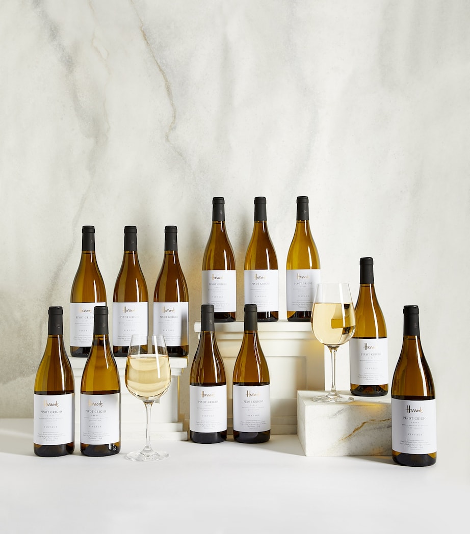 Pinot Grigio Wine Case (12 Bottles) - Lombardy, Italy WHITE Image 1