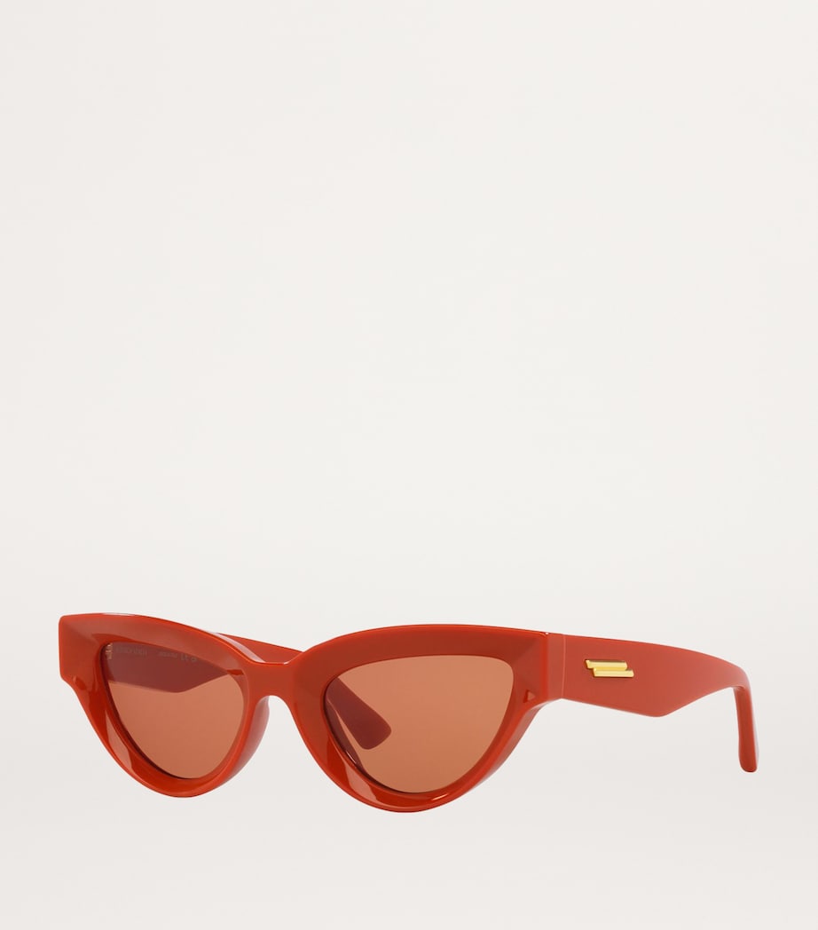 Injected 06J000413 Sunglasses 3300D1 Image 2