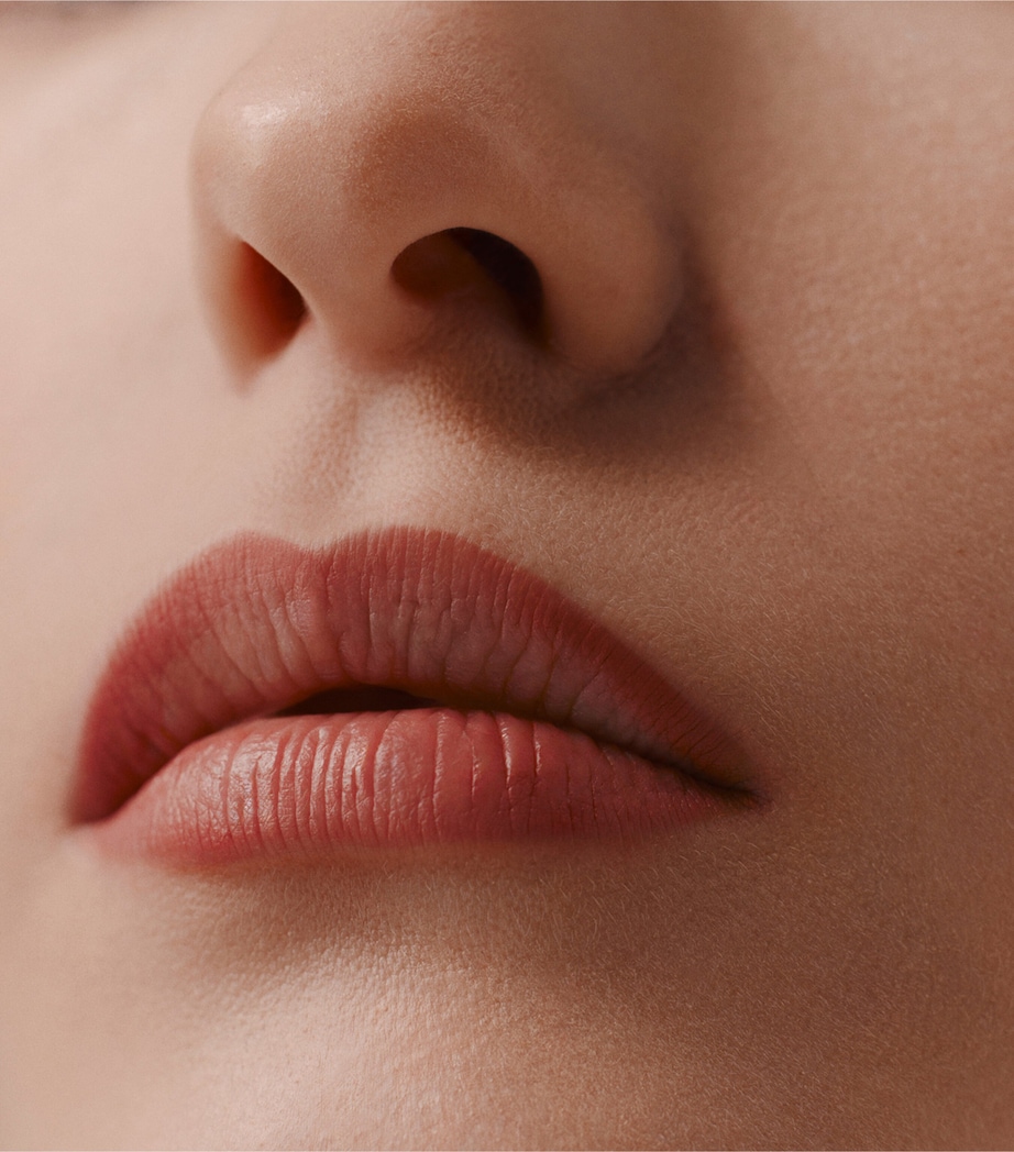 Trait d'Hermès Lip Colour Pencil 21 ROSE EPICE X3 Image 5