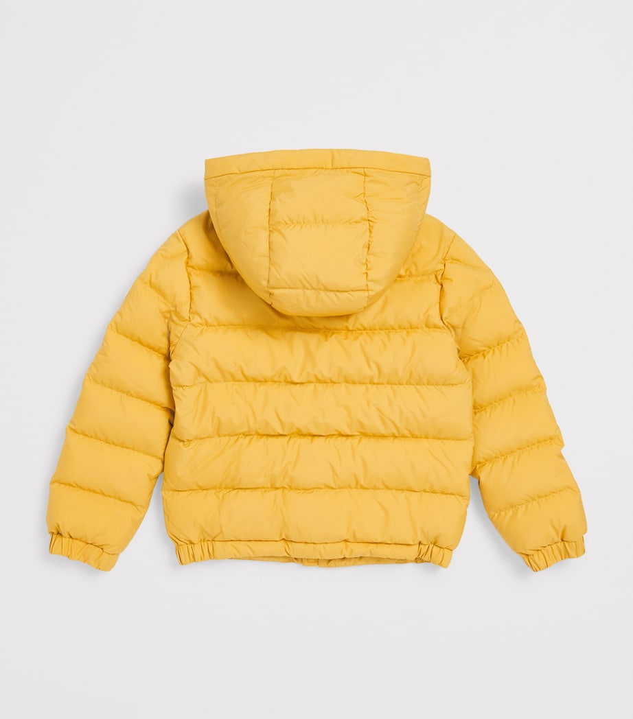 Down Grecois Hooded Jacket (8-10 Years) 13B Image 2