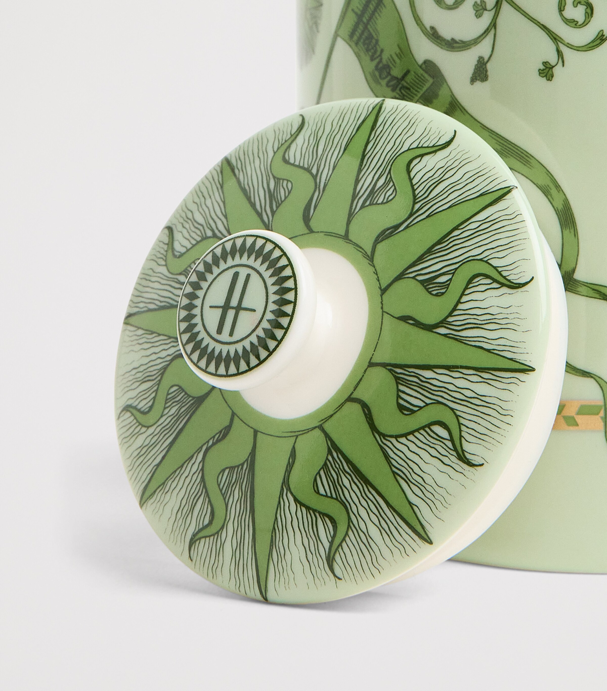 Fine China Menagerie Tea Caddy GREEN Image 3