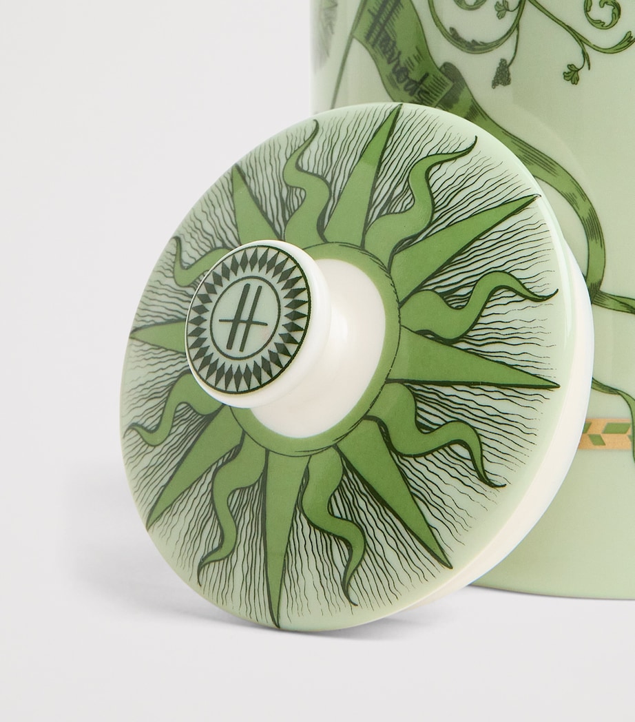 Fine China Menagerie Tea Caddy GREEN Image 3