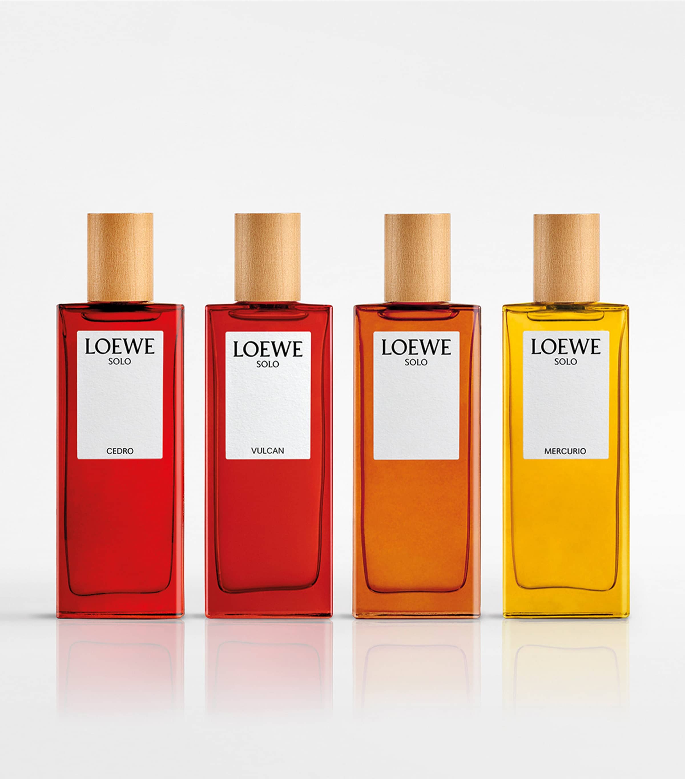 LOEWE SOLO ELLA オードトワレ 100mL Loewe Solo Ella Eau De Parfum, Sensual & Elegant Fragrance