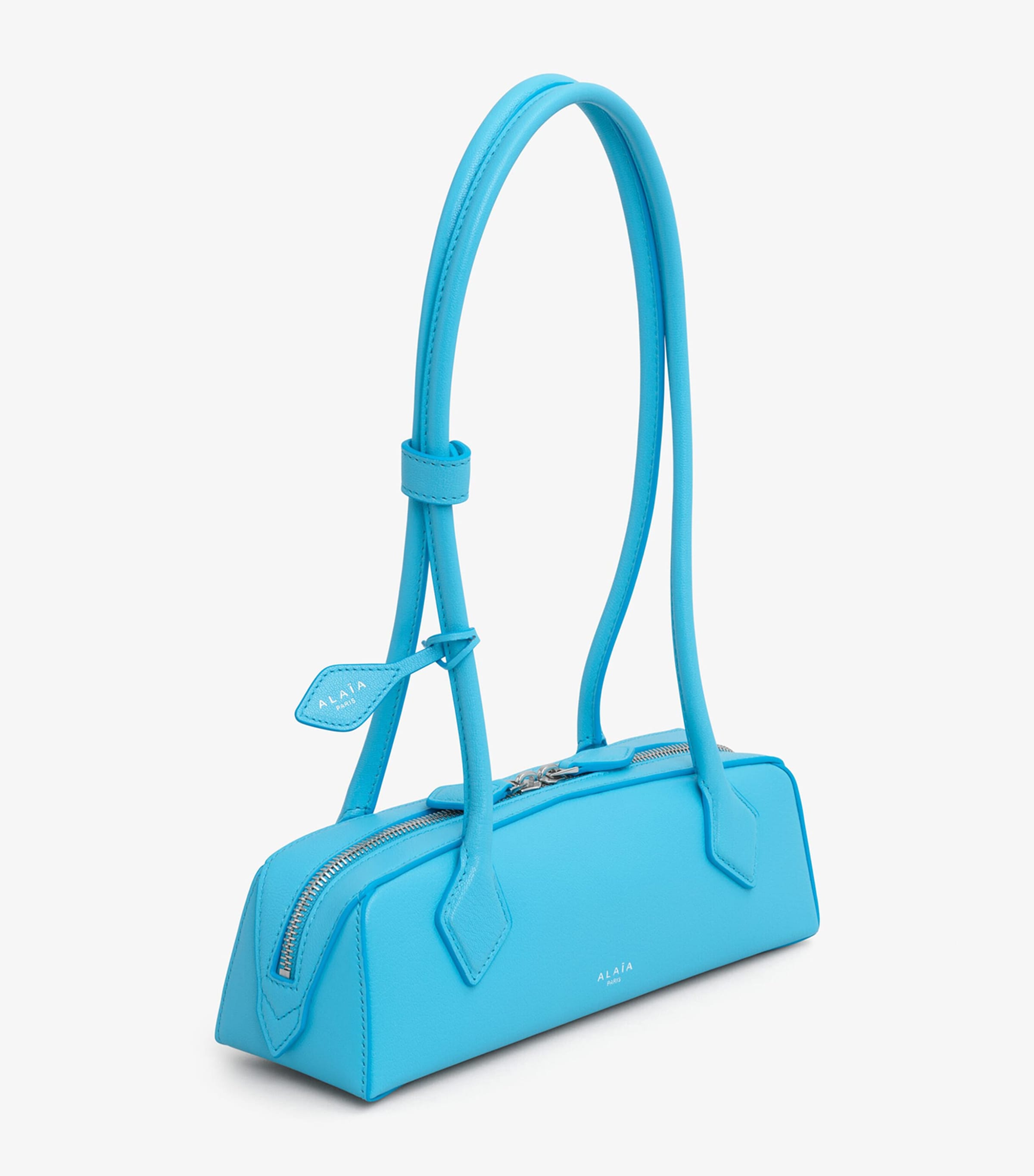Small Leather Le Teckel Shoulder Bag AMAZONITE Image 3