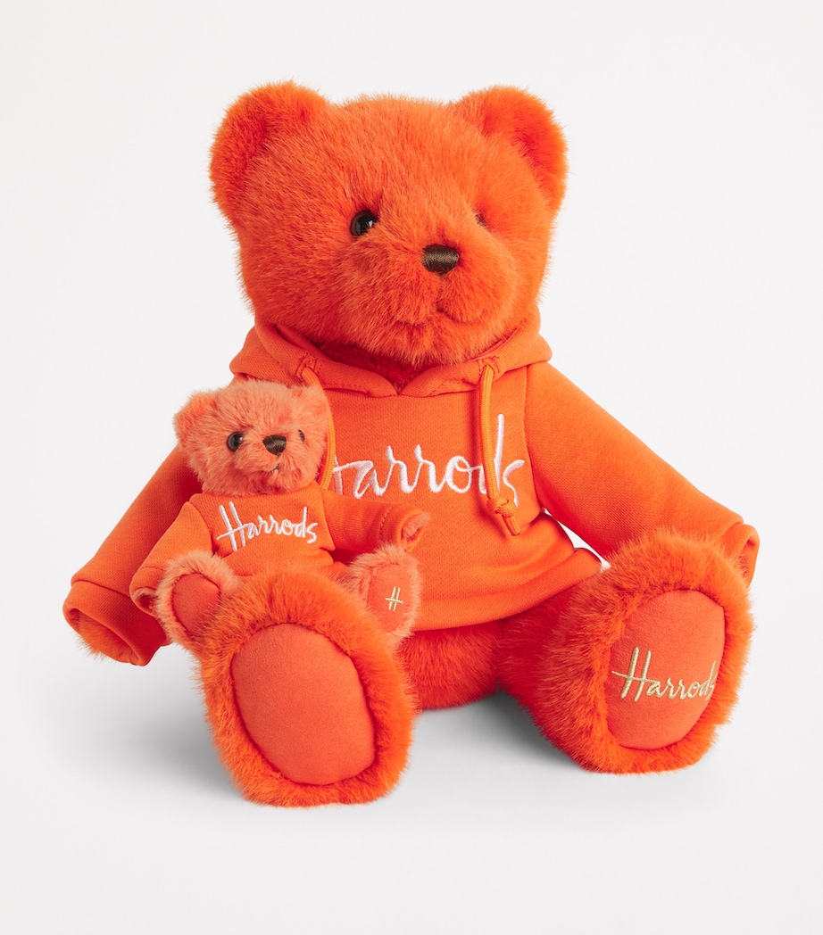 Henry Bear (29cm) MULTI Image 3