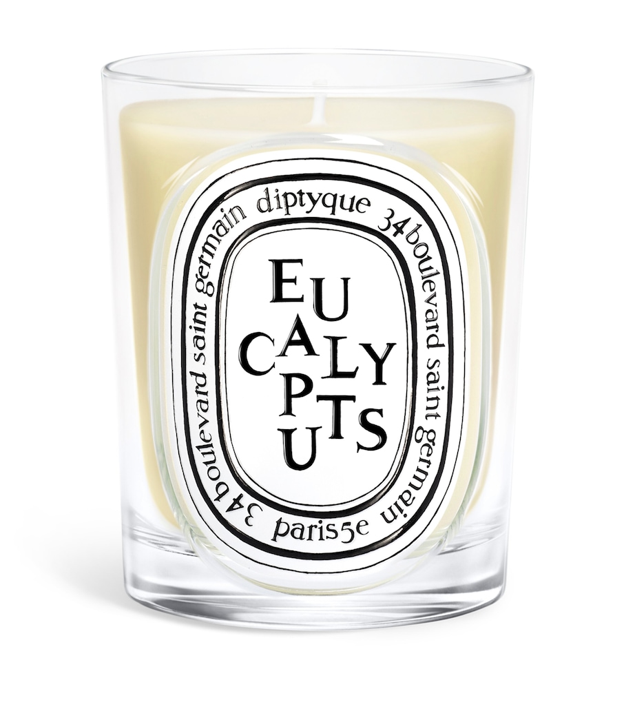 Diptyque Eucalyptus Candle (190g) Image 1