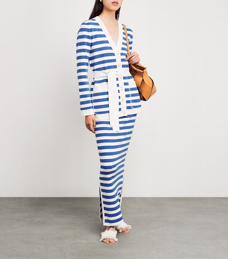 Stripe Ari Maxi Skirt BLUE STRIPE Image 2