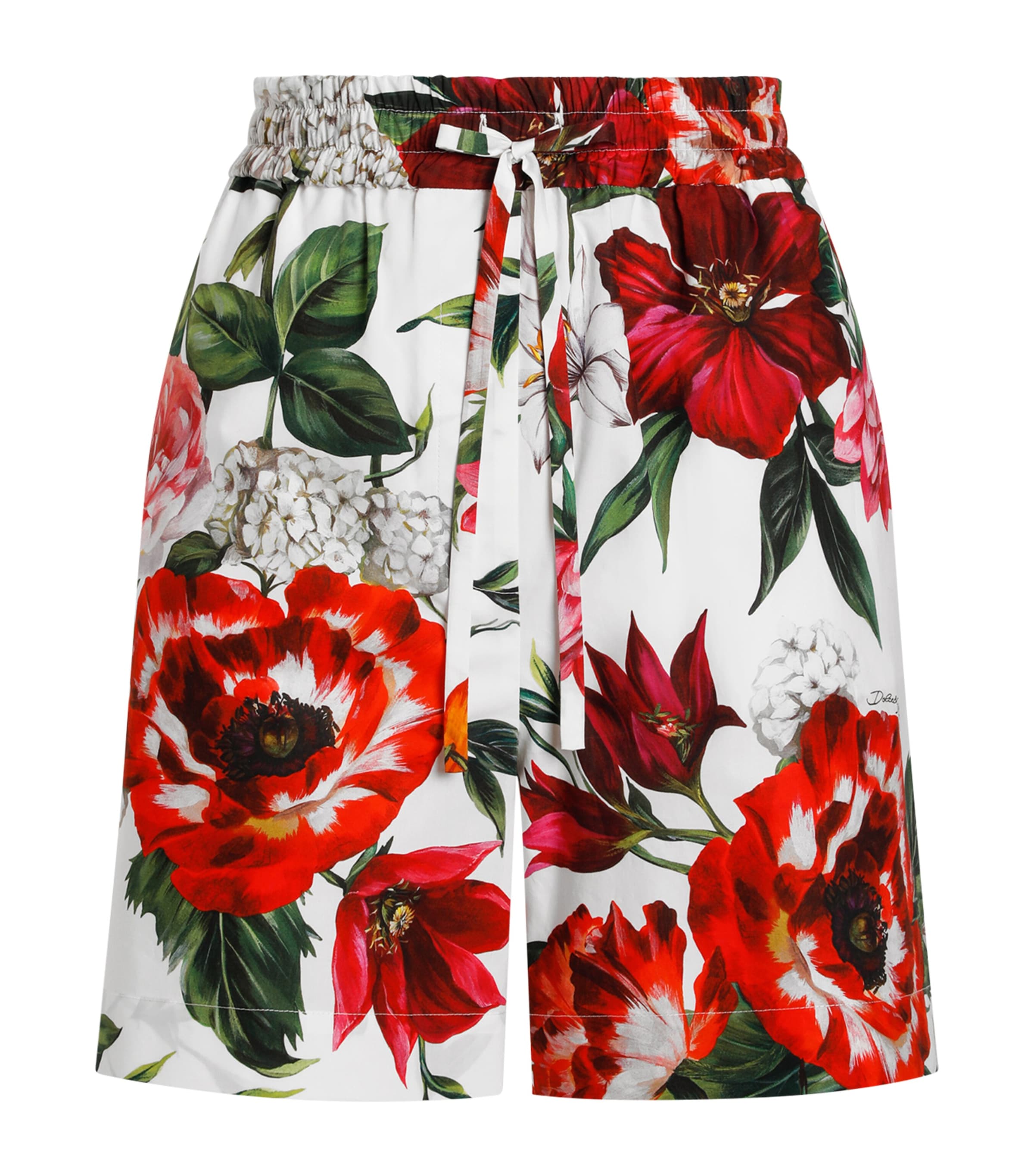 Dolce & Gabbana Cotton Floral Shorts In Multi