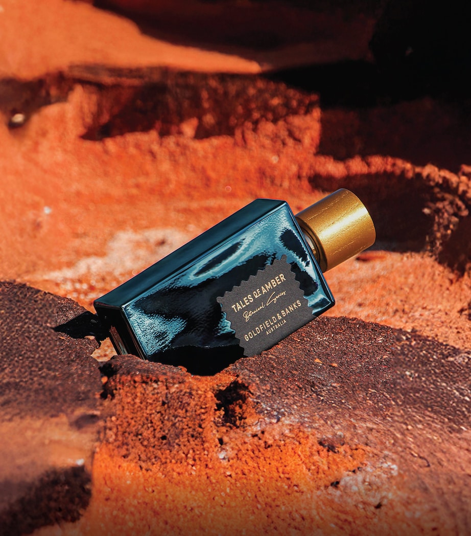 Tales of Amber Extrait de Parfum (100ml) NO COLOUR Image 5