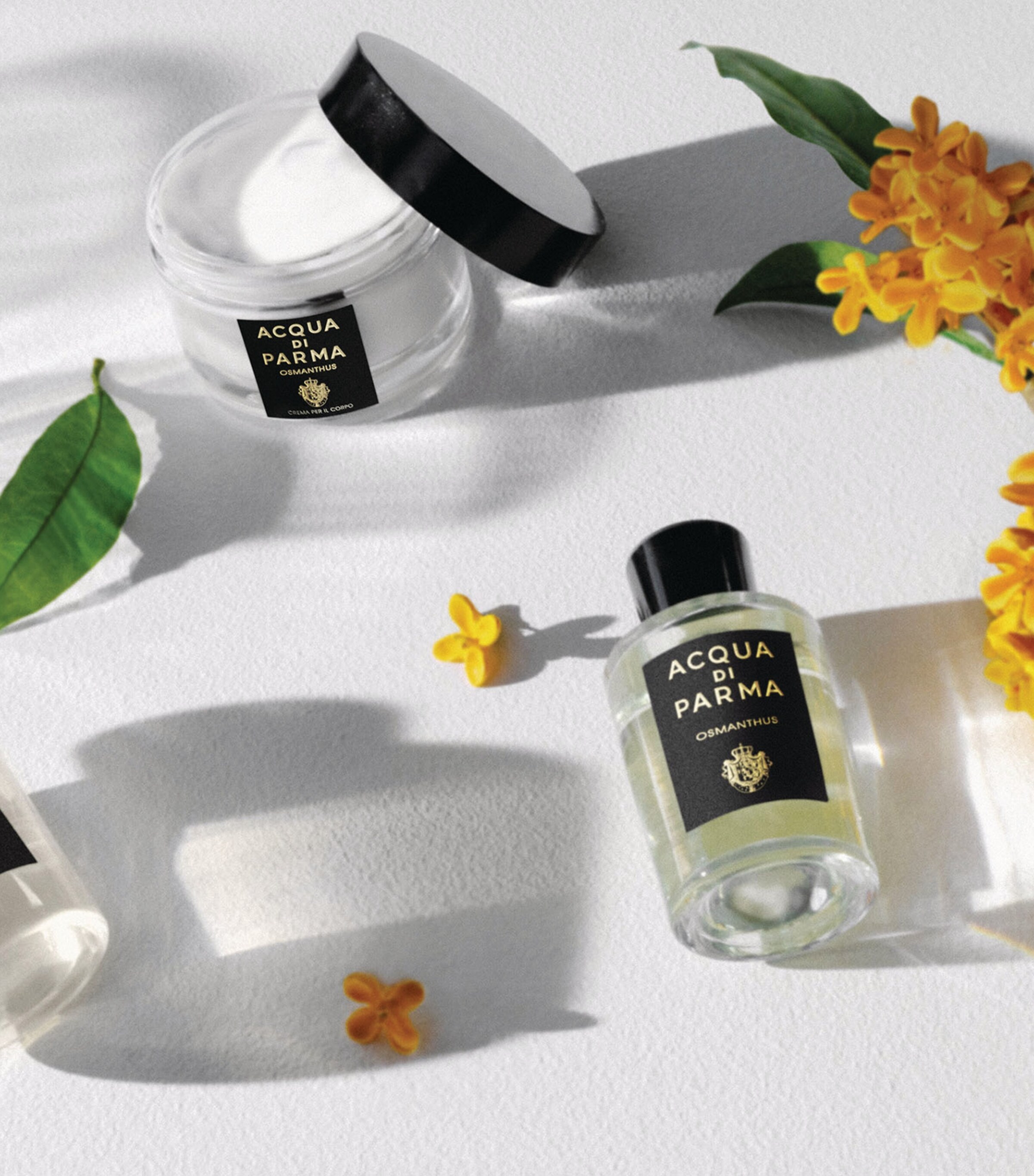 Signatures of the Sun Osmanthus Body Cream (150ml) NO COLOUR Image 5