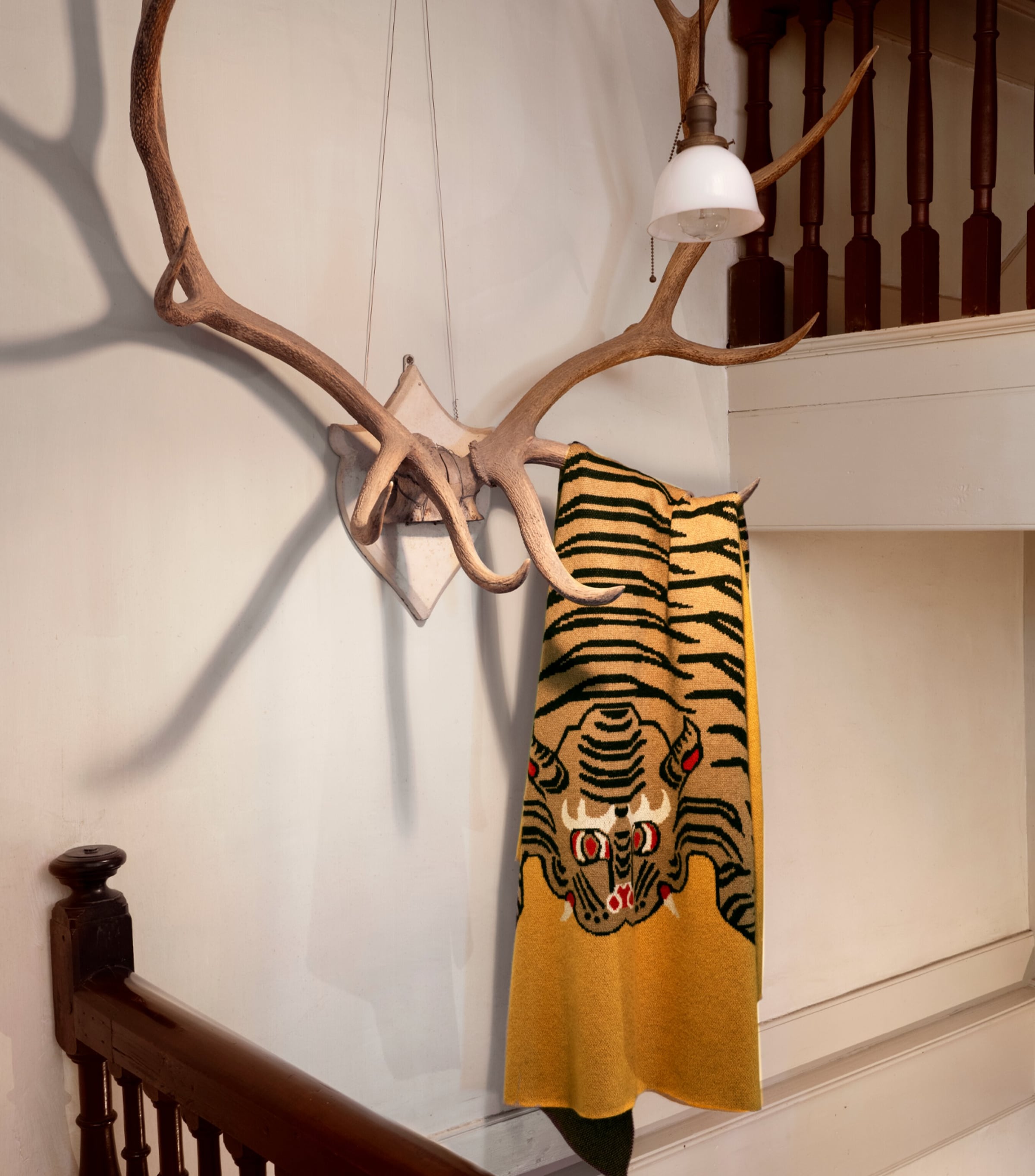 Cashmere Tiger Blanket (260cm x 260cm) MUSTARD Image 2