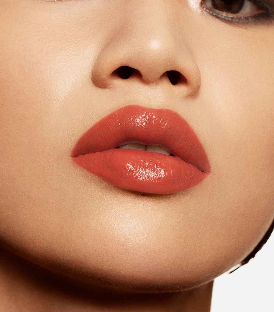 Liquid Lipstick Vinyl THAR DESERT 255 Image 5