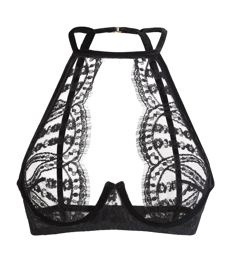 Velvet-Lace Kiana Halterneck Plunge Bra BLACK Image 1
