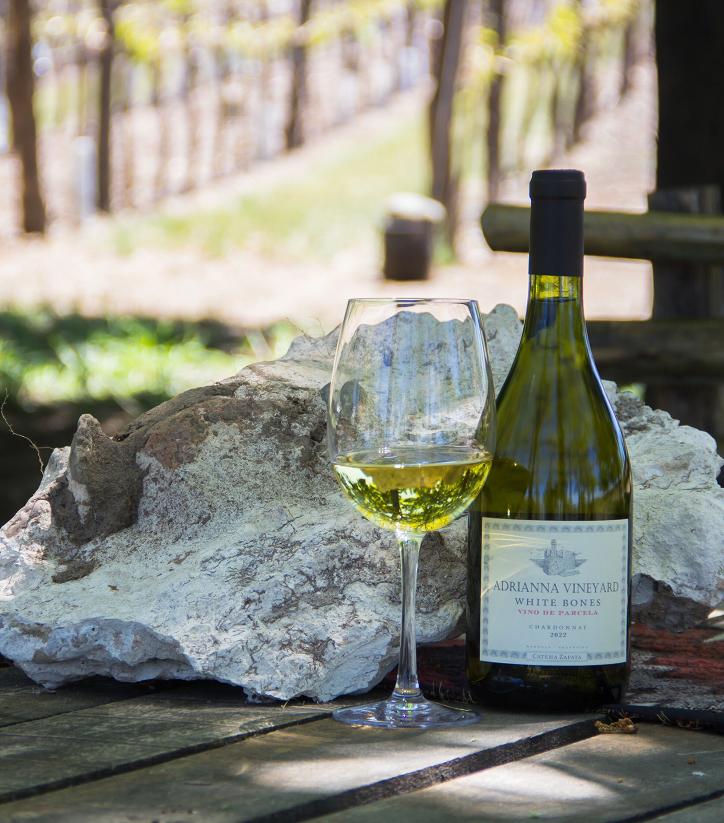 Adrianna Vineyard White Bones Chardonnay 2022 (75cl) – Mendoza, Argentina NO COLOUR Image 4