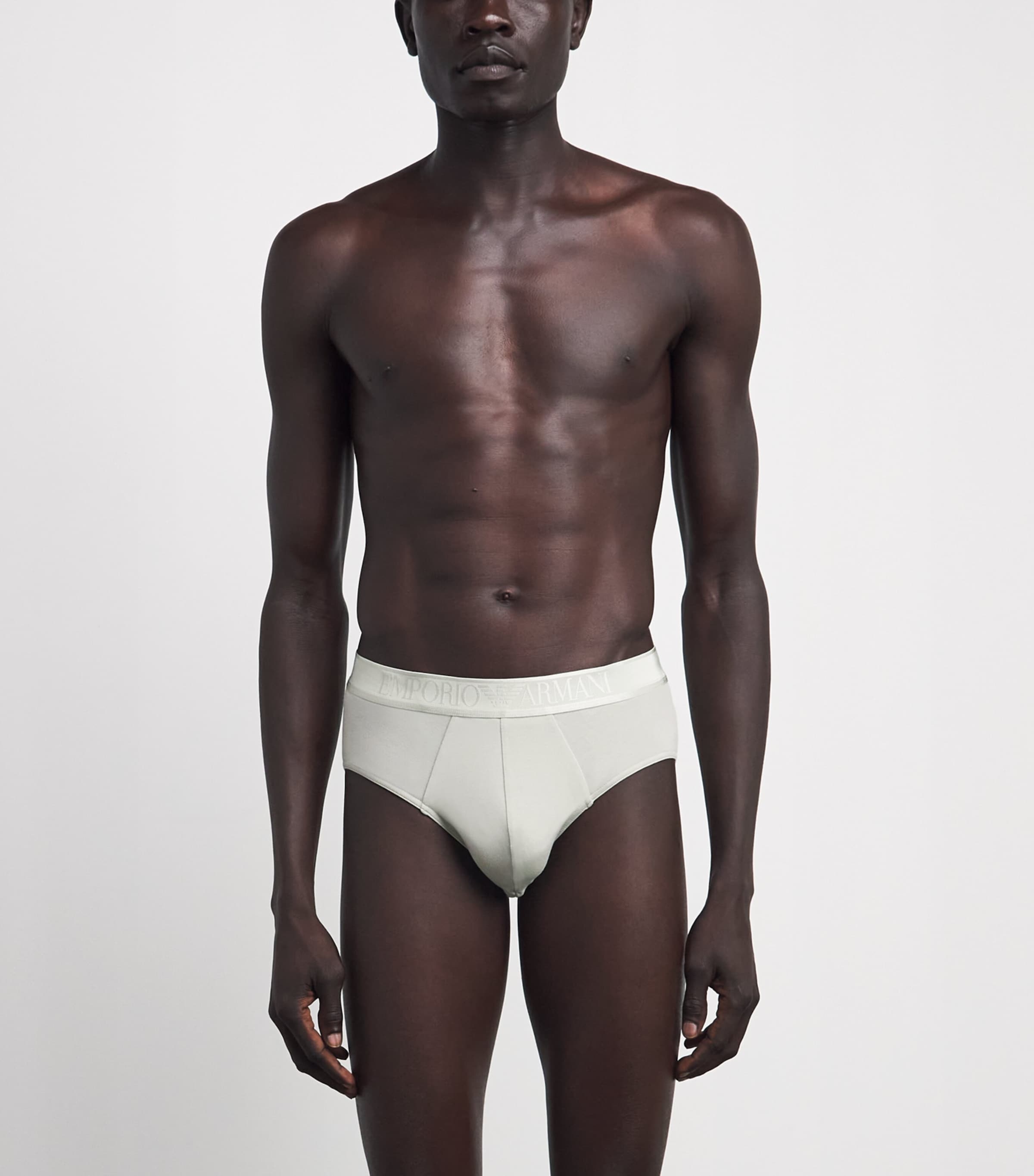 Emporio Armani Mens Modal Logo Briefs Mineral Image 2