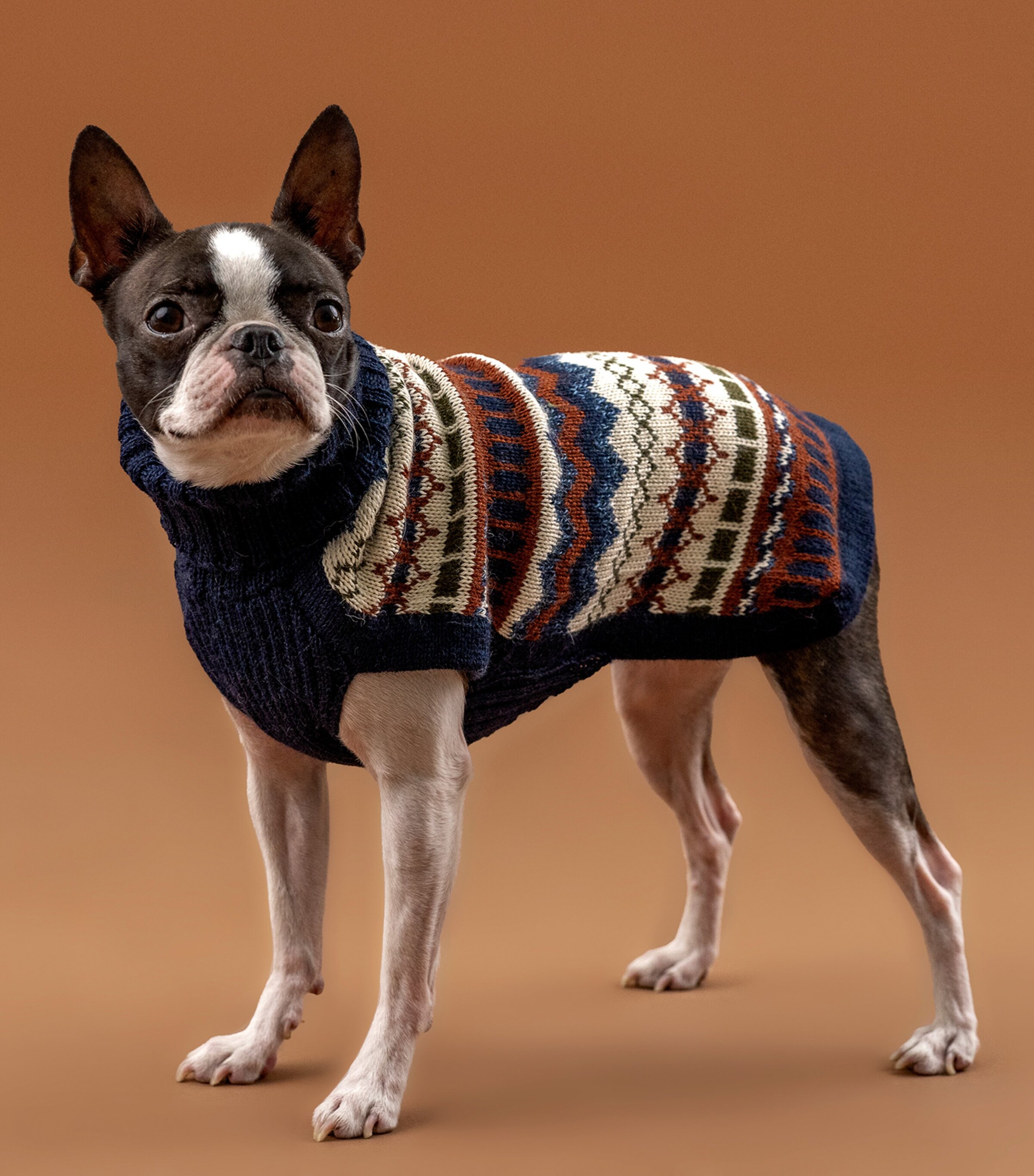 ALQO WASI Iceberg Bleau Melange Dog Sweater (Small) Iceberg Bleu Melange Image 3