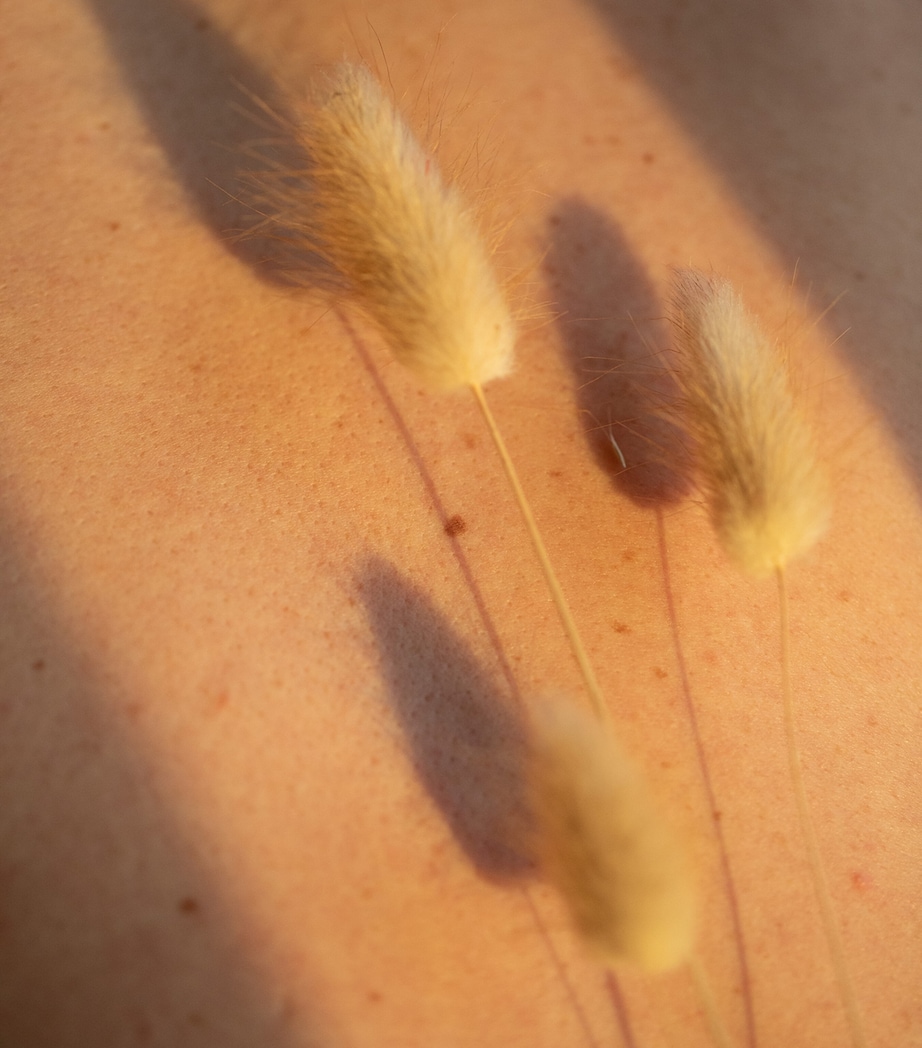 Papyrus Moléculaire Eau de Parfum (100ml) NO COLOUR Image 6