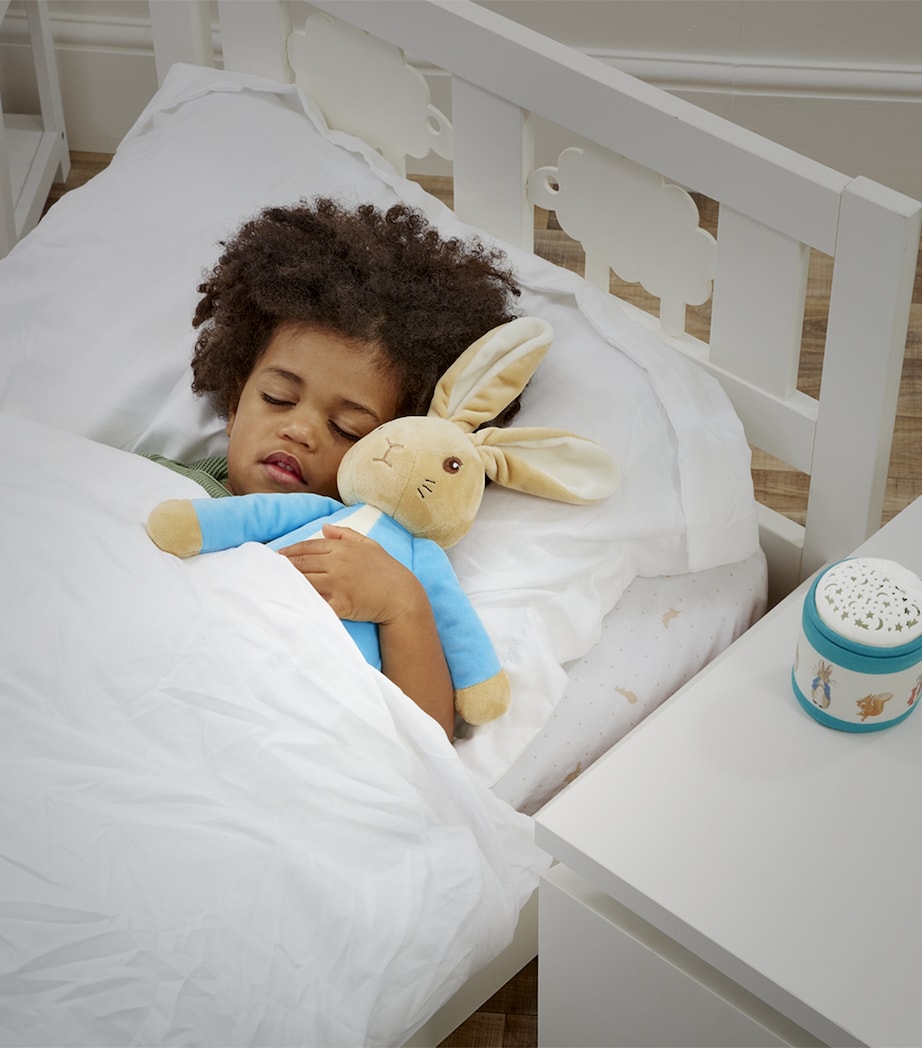 Peter Rabbit Bedtime Cuddles Set (36cm) MULTI Image 3