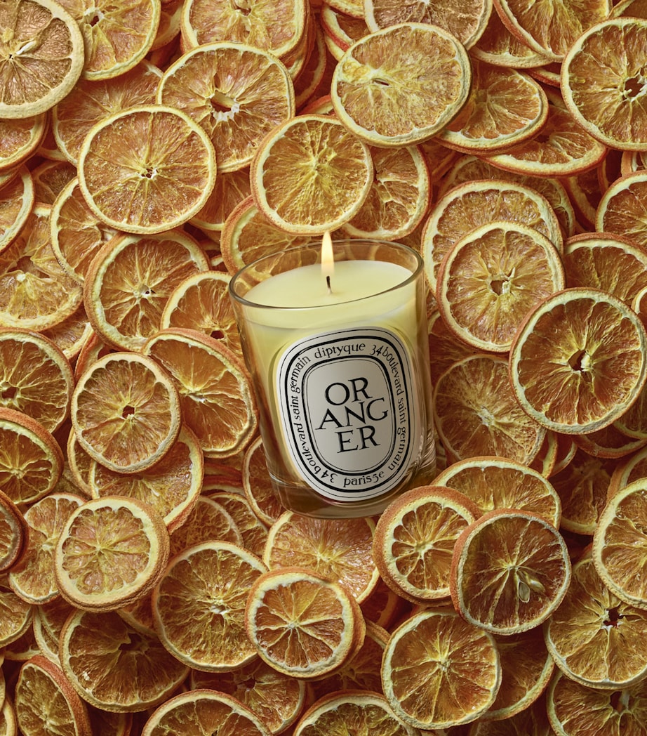 Diptyque Oranger Candle (190g) Image 3
