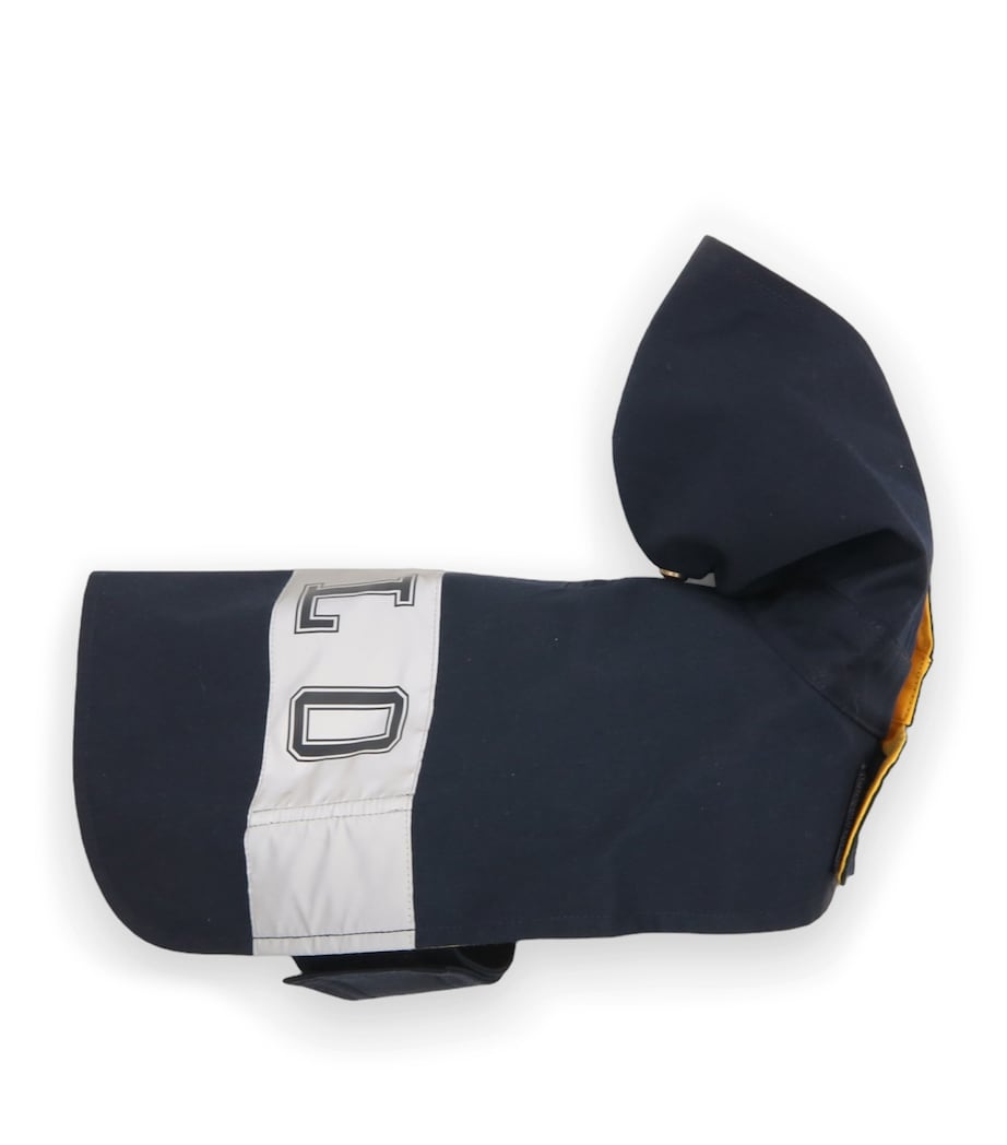 Canvas Hooded Polo Dog Raincoat (L) NAVY/GOLD BUGLE Image 4