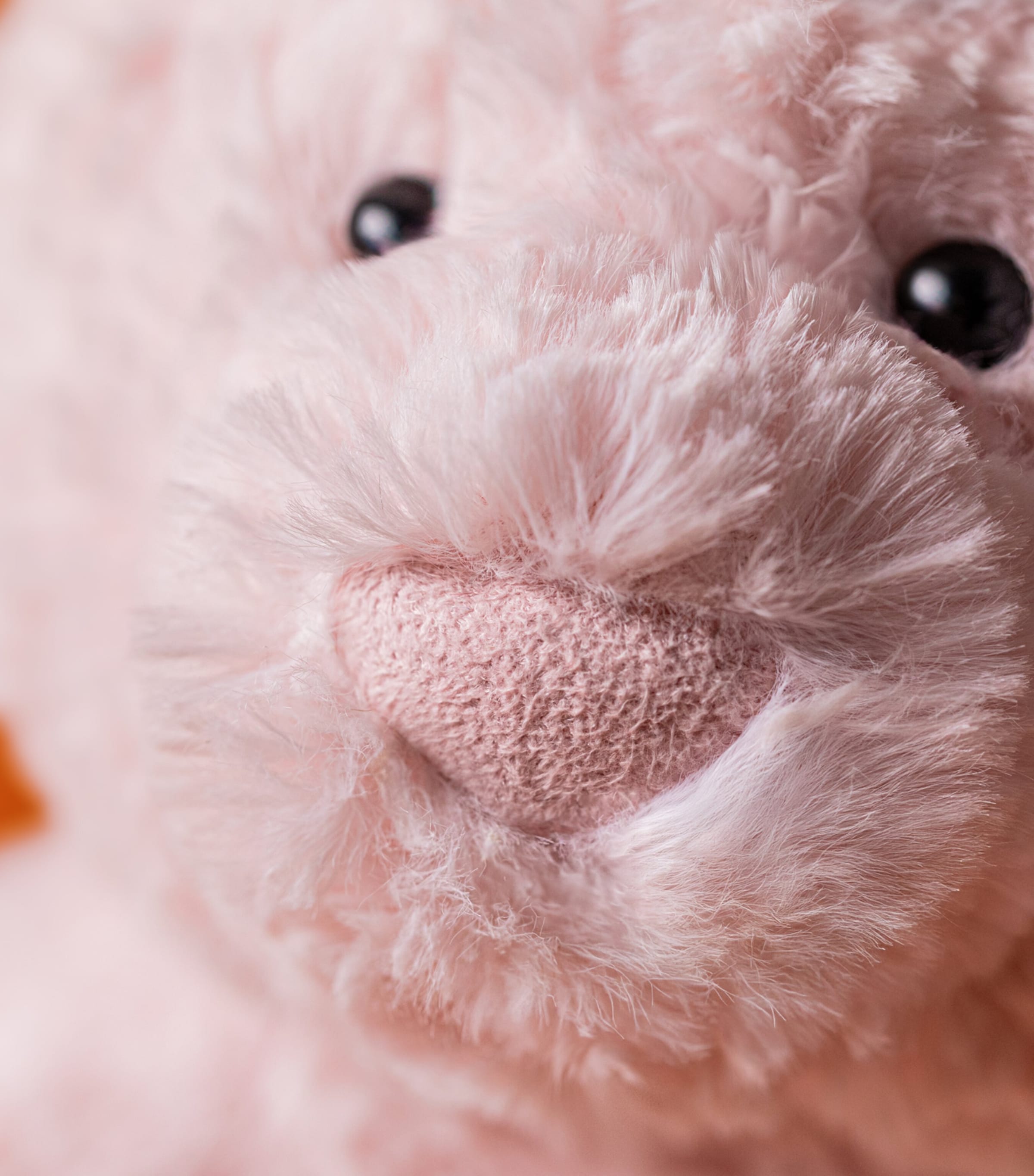 Jellycat Medium Leola Bear (26cm) Image 9