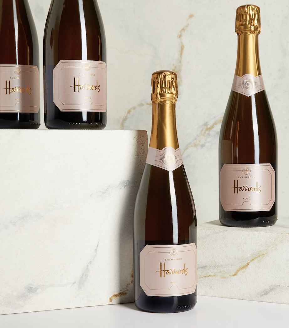 Rosé Champagne Non Vintage Case (12 Bottles) - Champagne, France ROSE Image 2